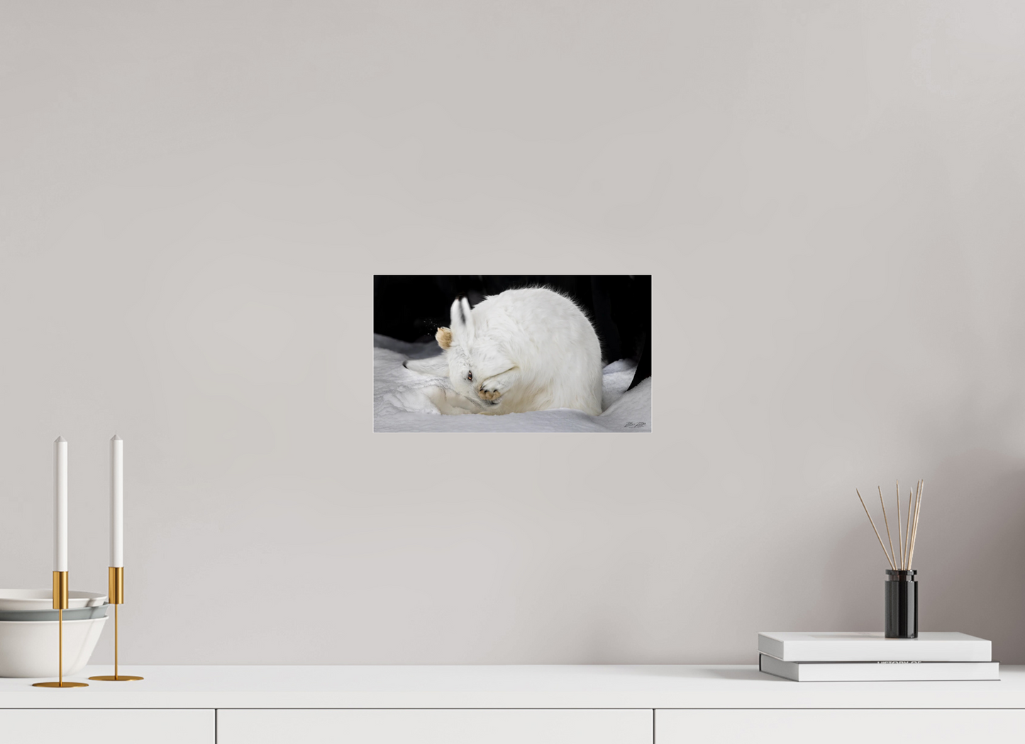 12 x 6.8″, Photo Print Under Acrylic Glass Zillas zoom image 142