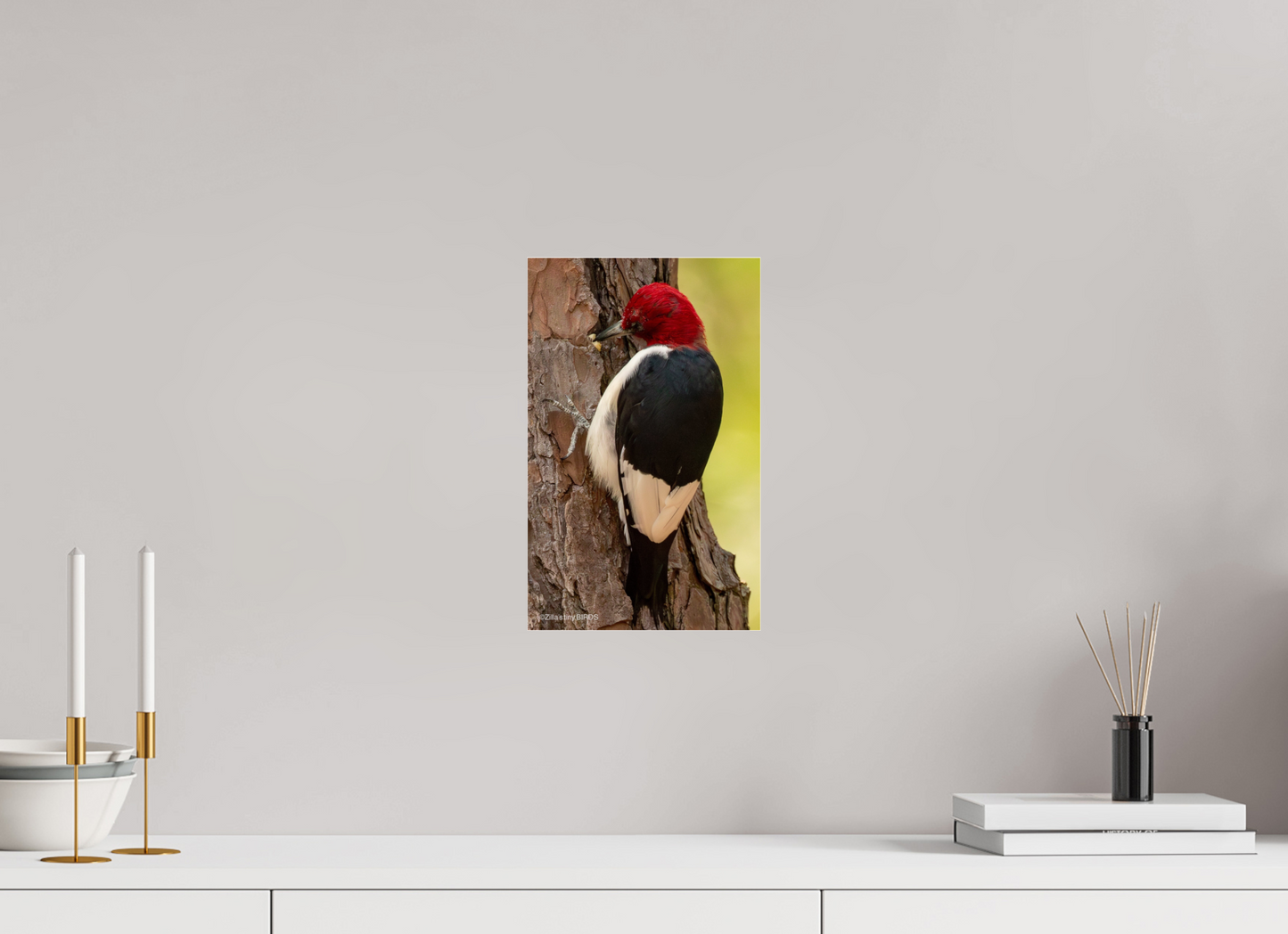 8 x 12.8″, Photo Print Under Acrylic Glass Zillas Zoom Image 461
