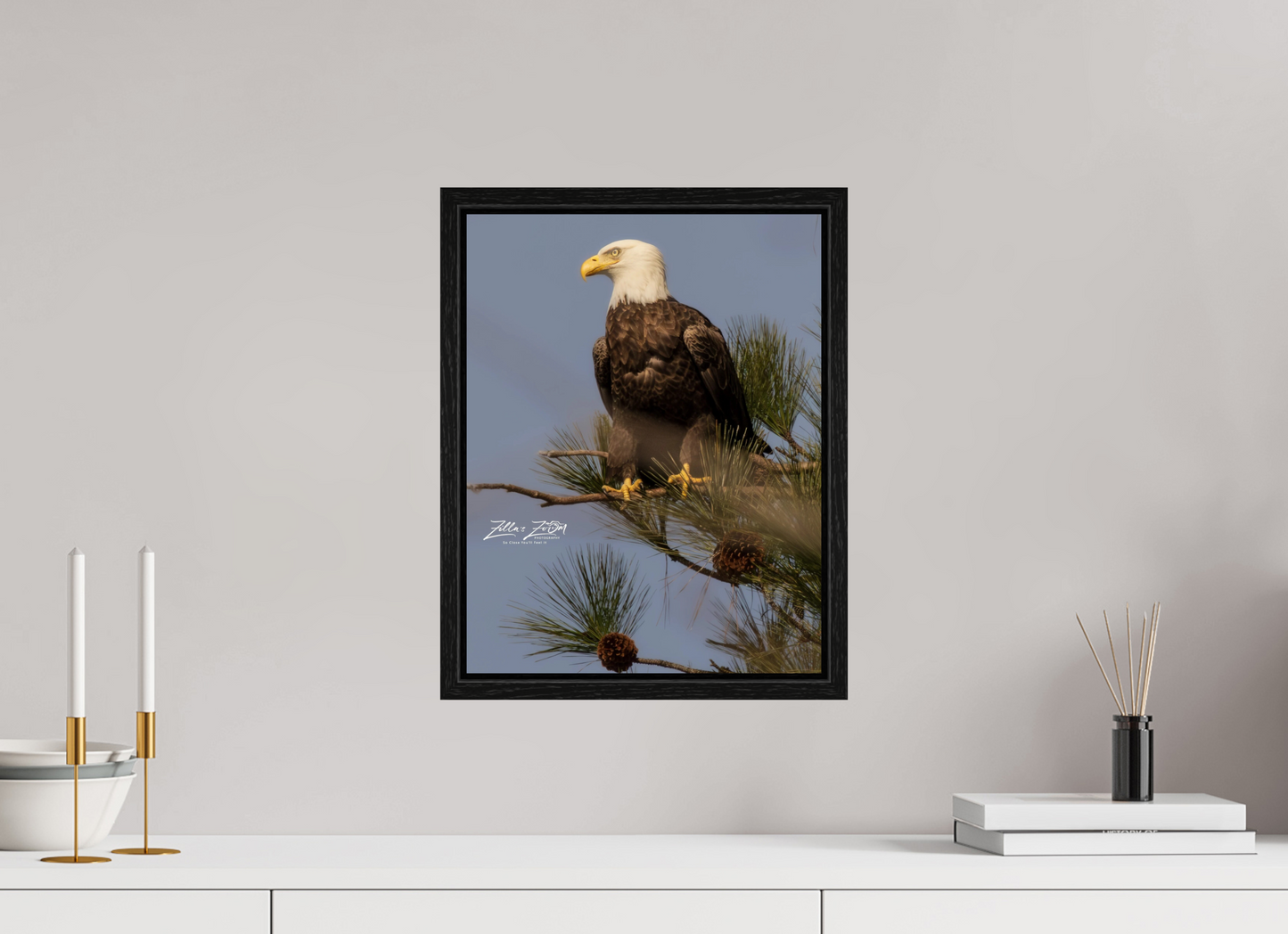 12 x 15.6″, Floater Frame Zillas Zoom Image 413