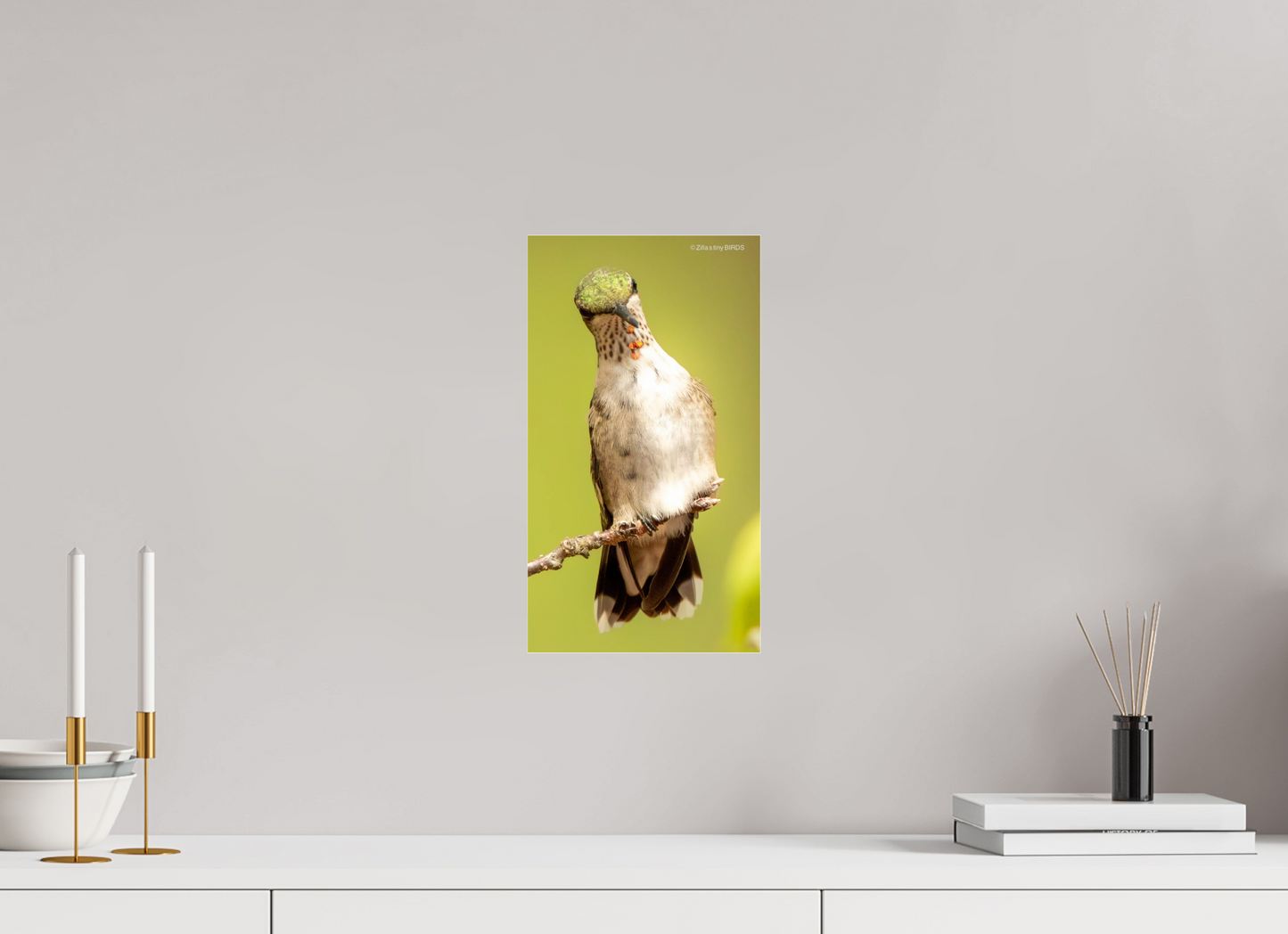 8 x 14.3″, Photo Print Under Acrylic Glass Zillas Zoom Image 444