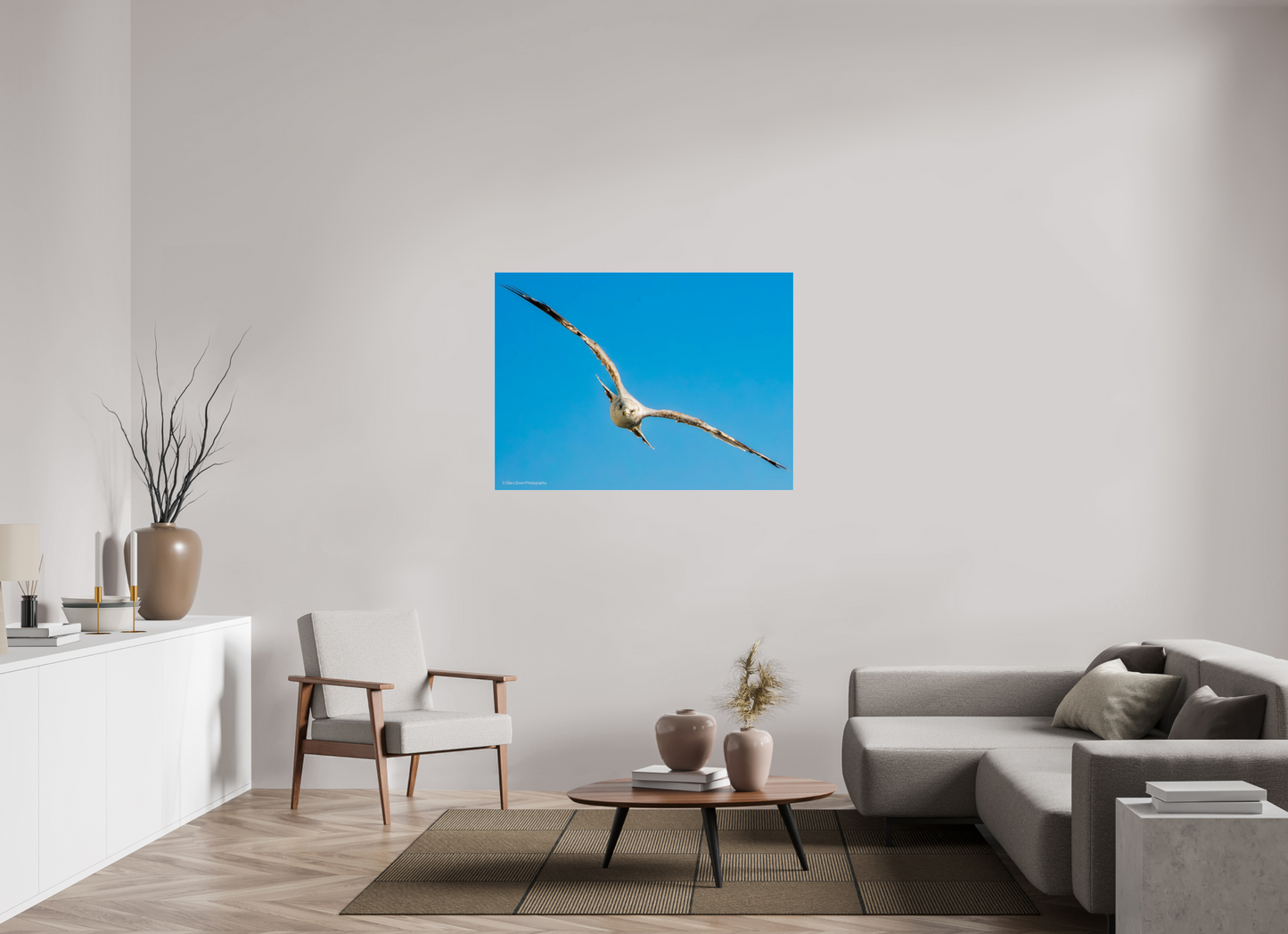 48 x 35″, Photo Print Under Acrylic Glass Zillas Zoom Image 365