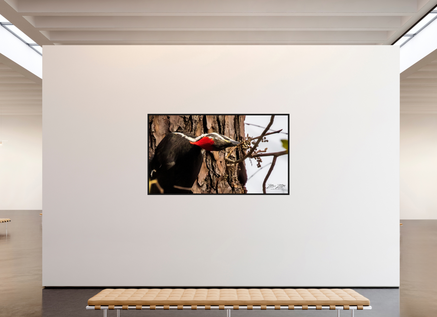 80 x 45″, Floater Frame Zillas Zoom Image 283