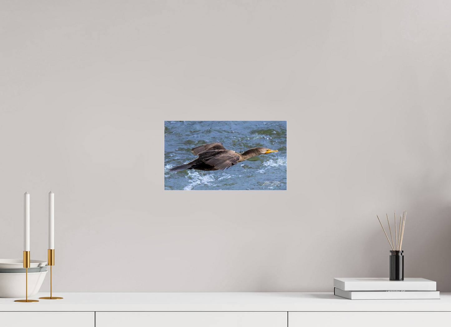 12 x 6.8″, Photo Print Under Acrylic Glass Zillas Zoom Image 310