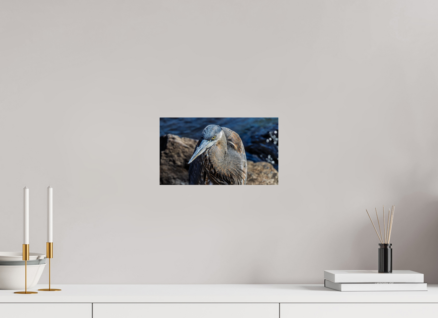 12 x 6.8″, Photo Print Under Acrylic Glass Zillas Zoom Image 335