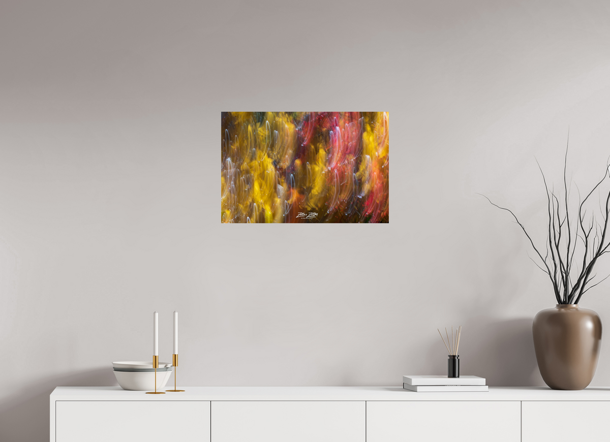 24 x 16″, Photo Print On Fuji Crystal DP II Zillas Zoom Image 13