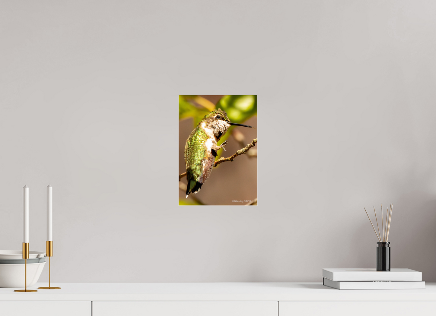 8 x 11.2″, Photo Print Under Acrylic Glass Zillas Zoom Image 471