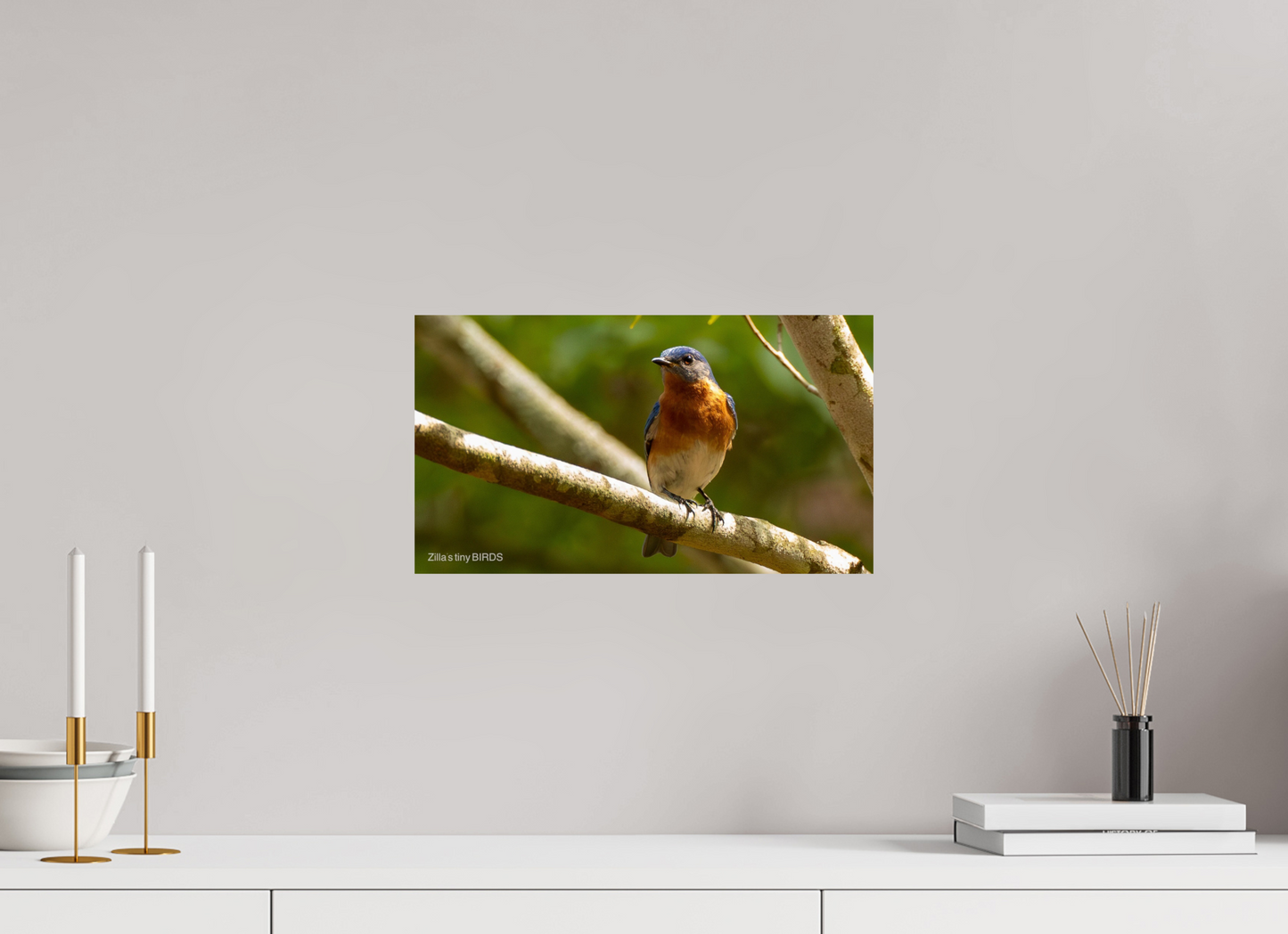 16 x 9″, Photo Print On Fuji Crystal DP II Zillas Zoom Image 373