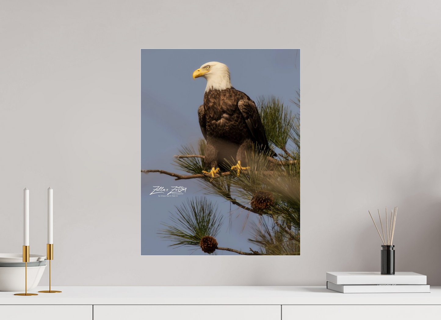 16 x 20.7″, Photo Print Under Acrylic Glass Zillas Zoom Image 413