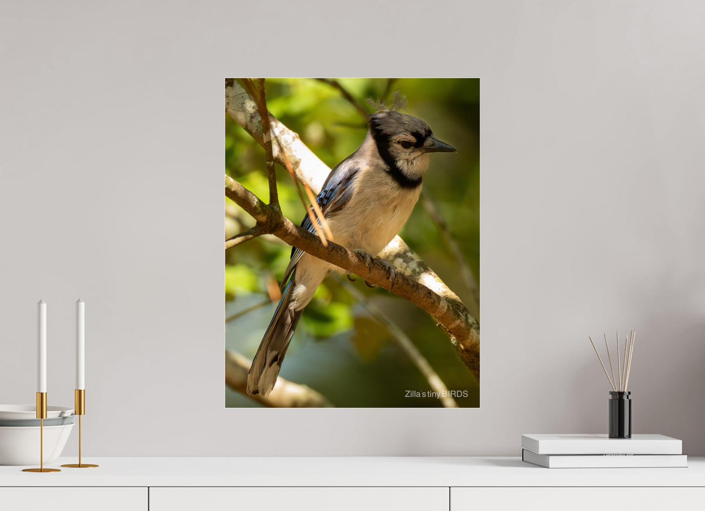 16 x 20.7″, Photo Print Under Acrylic Glass Zillas Zoom Image 519