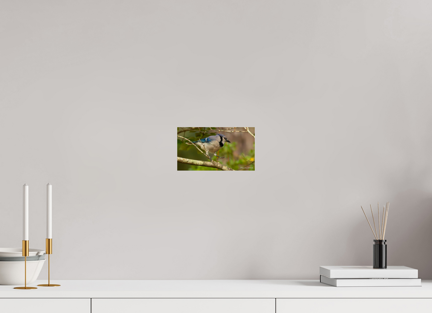 8 x 4.5″, Photo Print Under Acrylic Glass Zillas Zoom Image 391