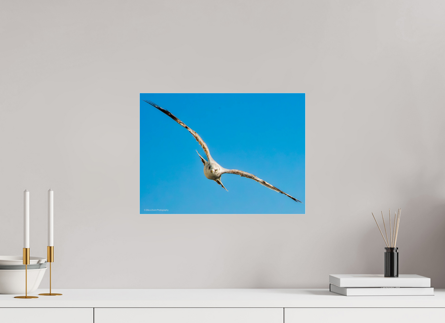 16.5 x 12″, Photo Print Under Acrylic Glass Zillas Zoom Image 365