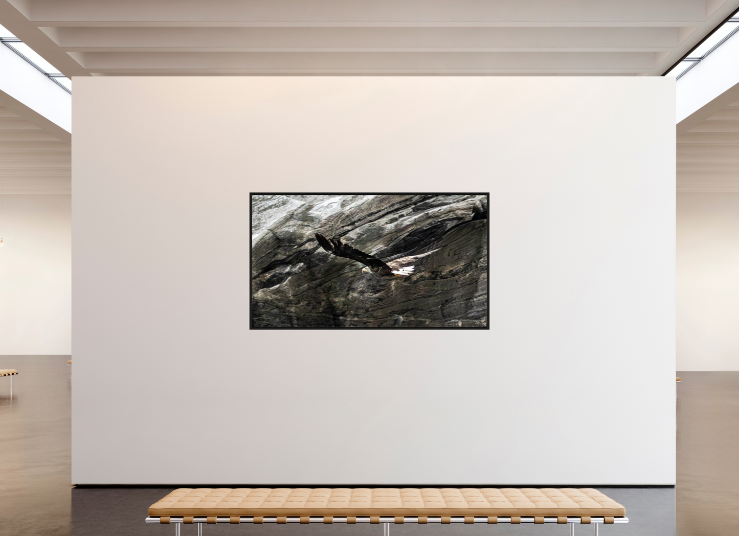 80 x 45″, Floater Frame Zillas Zoom Image 323