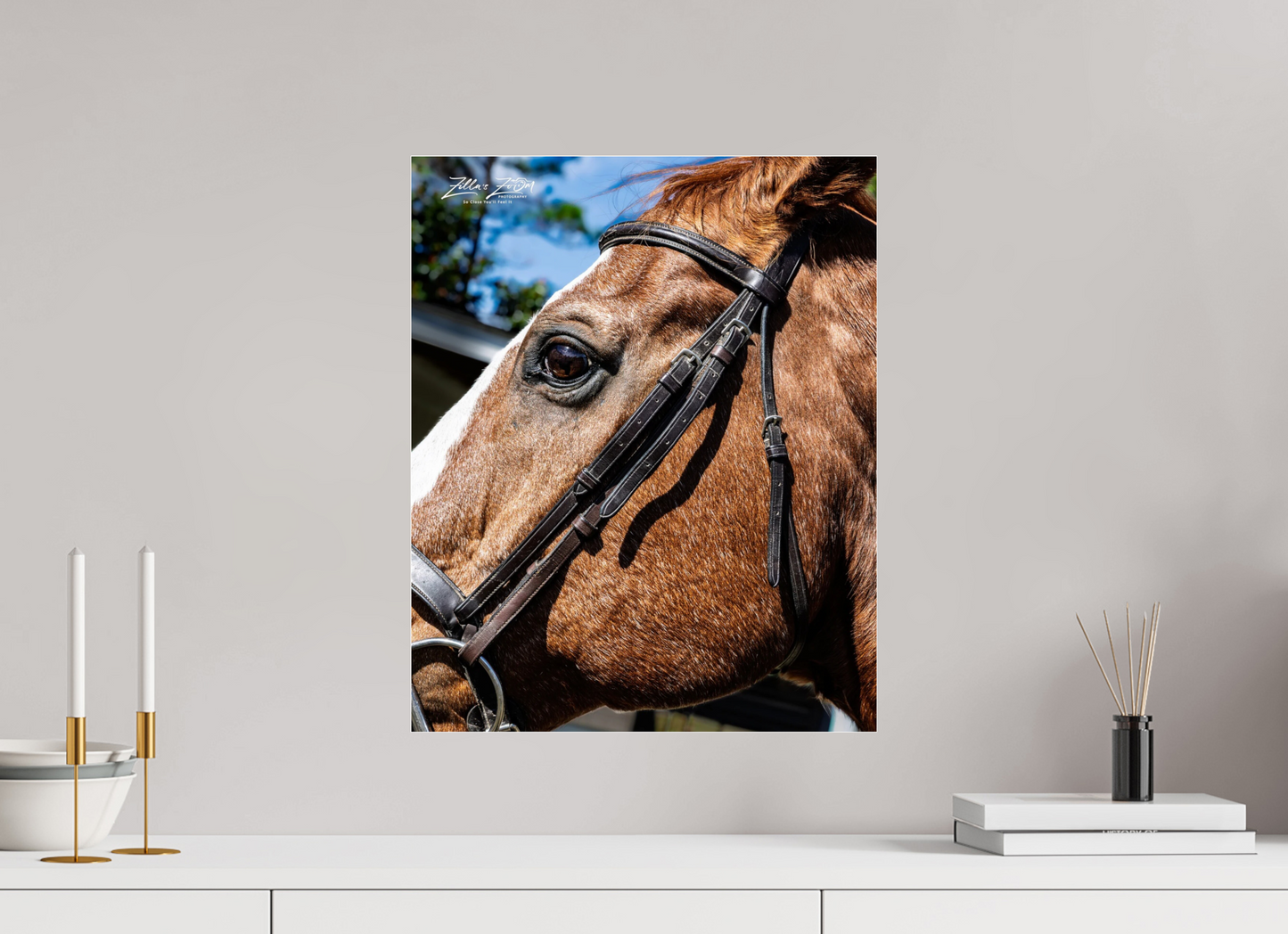 16 x 19.8″, Photo Print Under Acrylic Glass Zillas zoom image 149