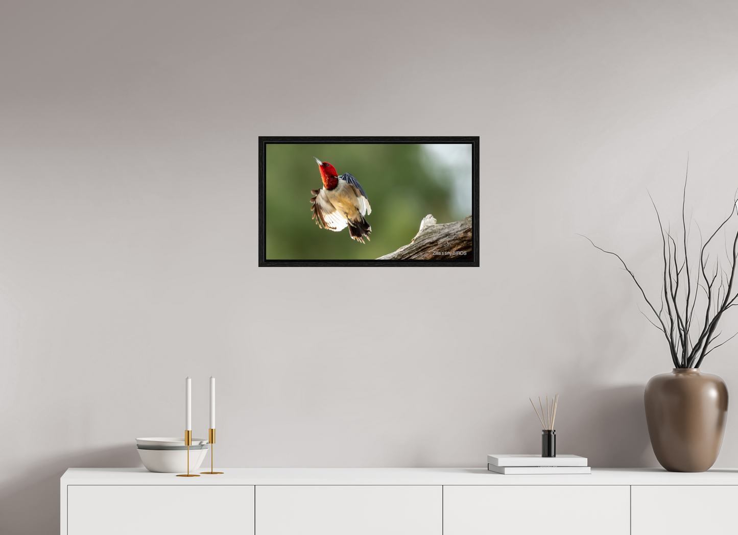 24 x 13.5″, Floater Frame Zillas Zoom Image 374