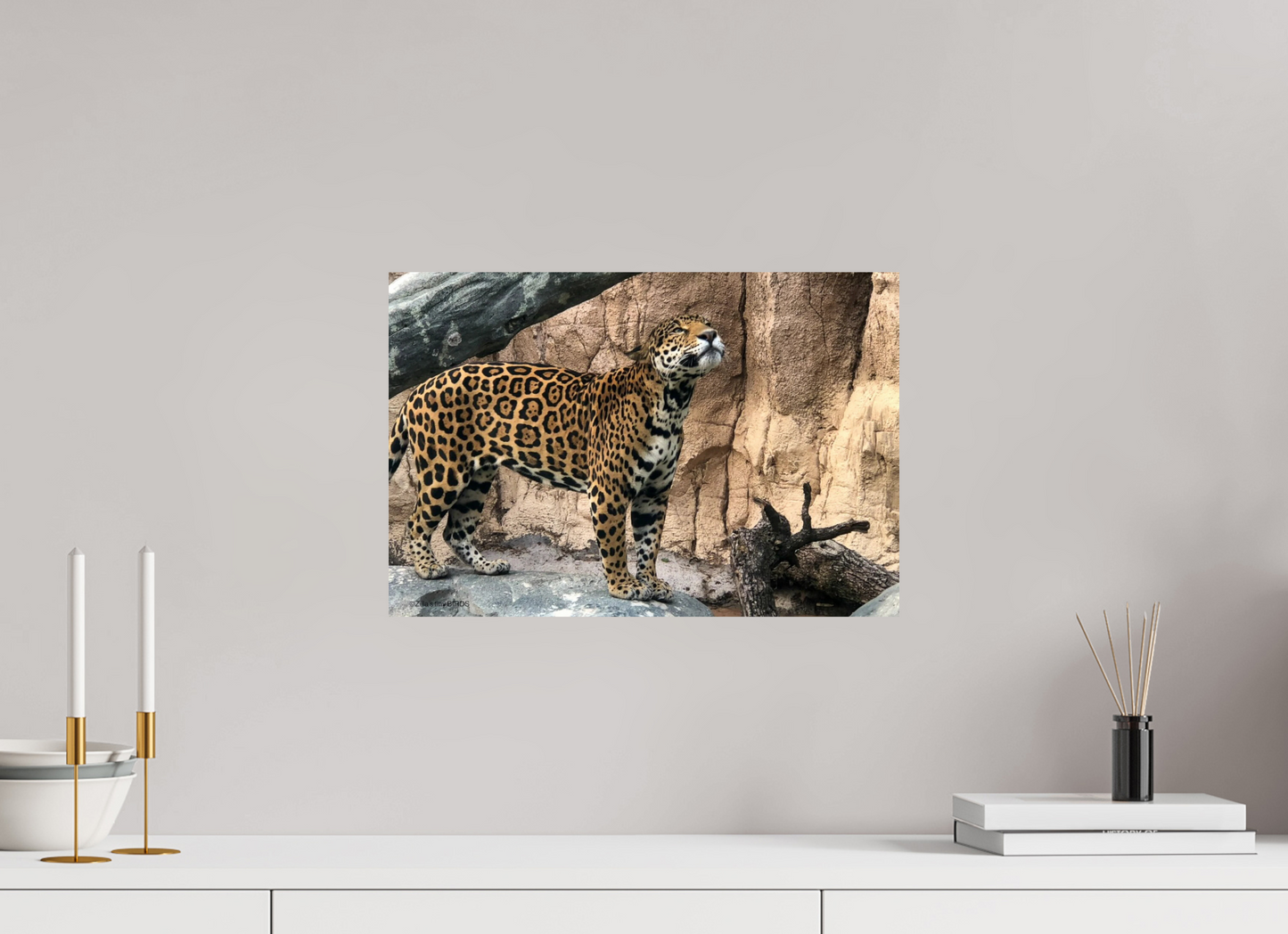 17.8 x 12″, Photo Print On Fuji Crystal DP II Zillas zoom image 138