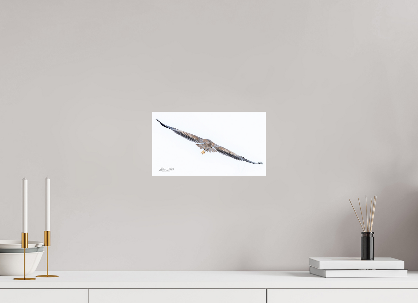 12 x 6.8″, Photo Print Under Acrylic Glass Zillas Zoom Image 275