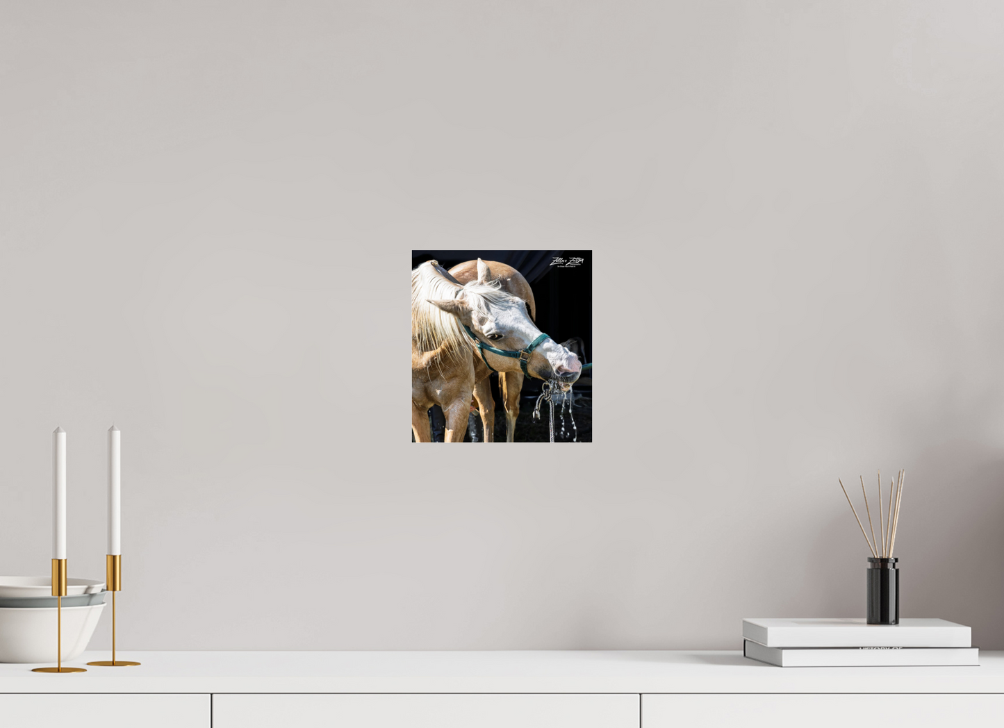 8 x 8.5″, Photo Print Under Acrylic Glass Zillas zoom image 148
