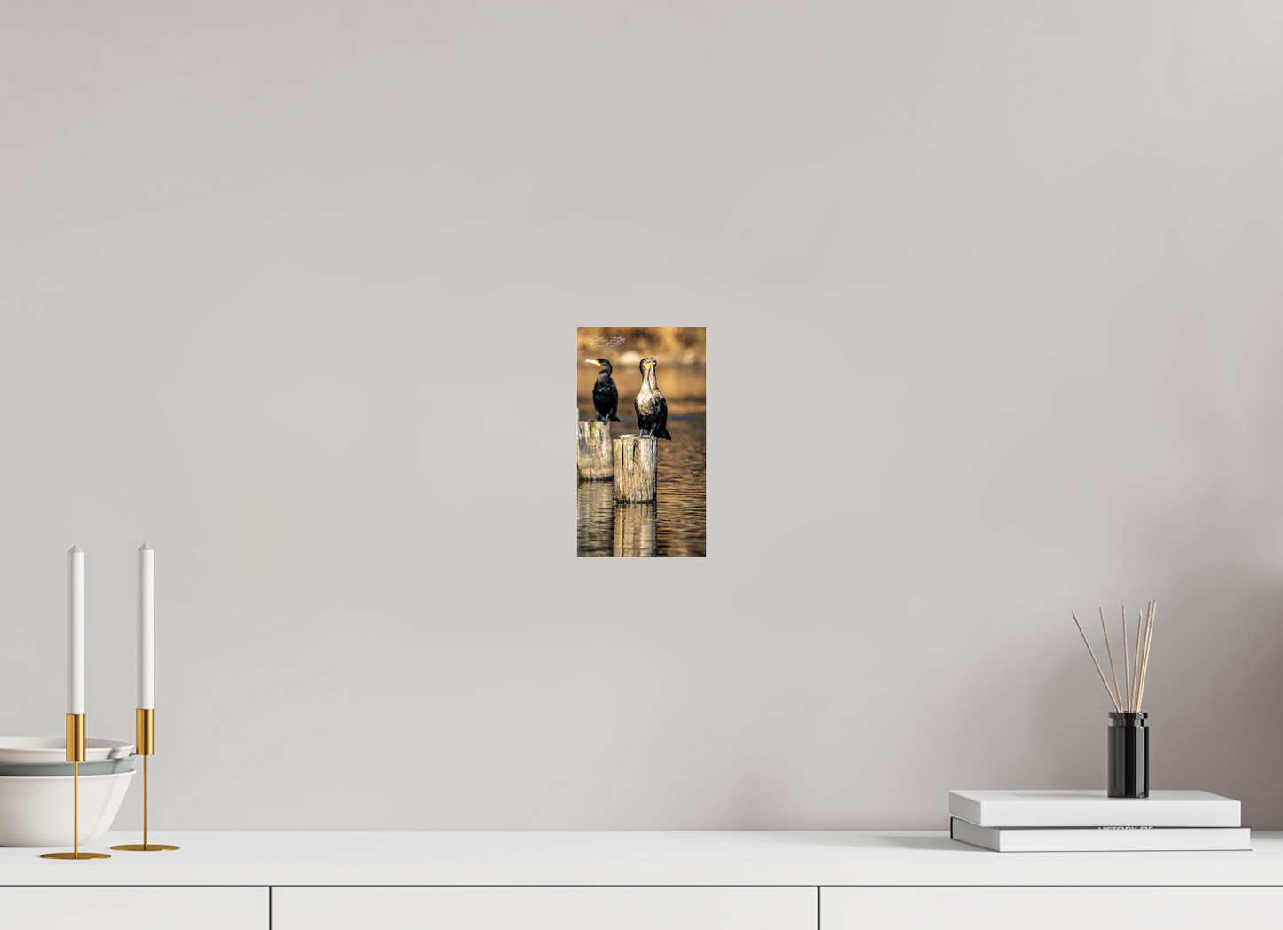 4.5 x 8″, Photo Print Under Acrylic Glass Zillas Zoom Image 426