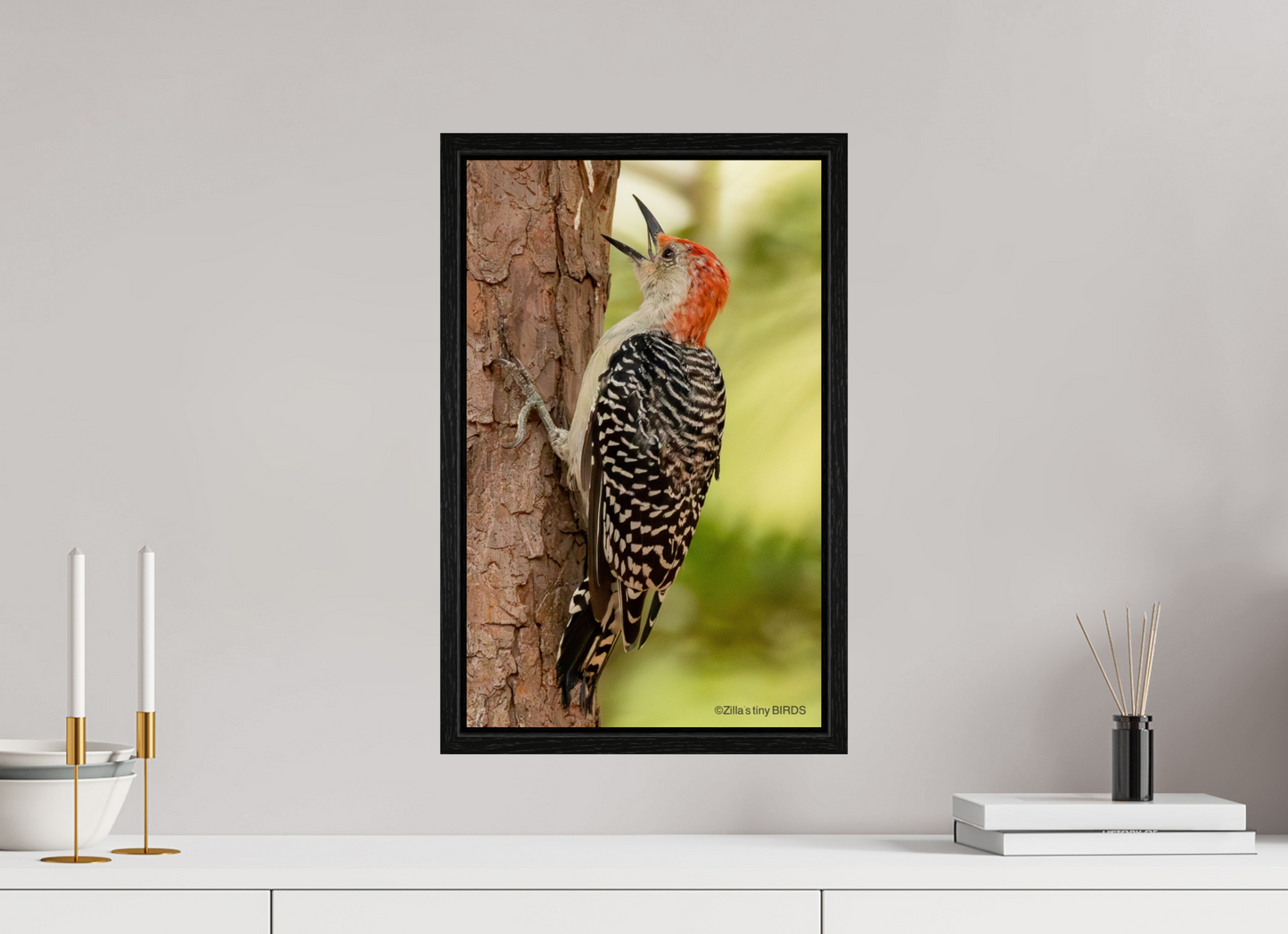 12 x 19.2″, Floater Frame Zillas Zoom Image 459