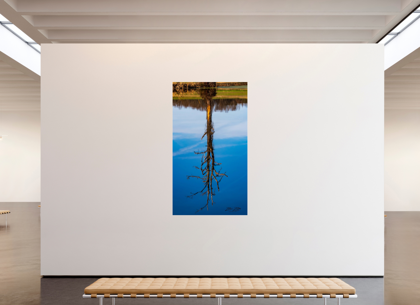 45 x 80″, Photo Print Under Acrylic Glass Zillas Zoom Image 246