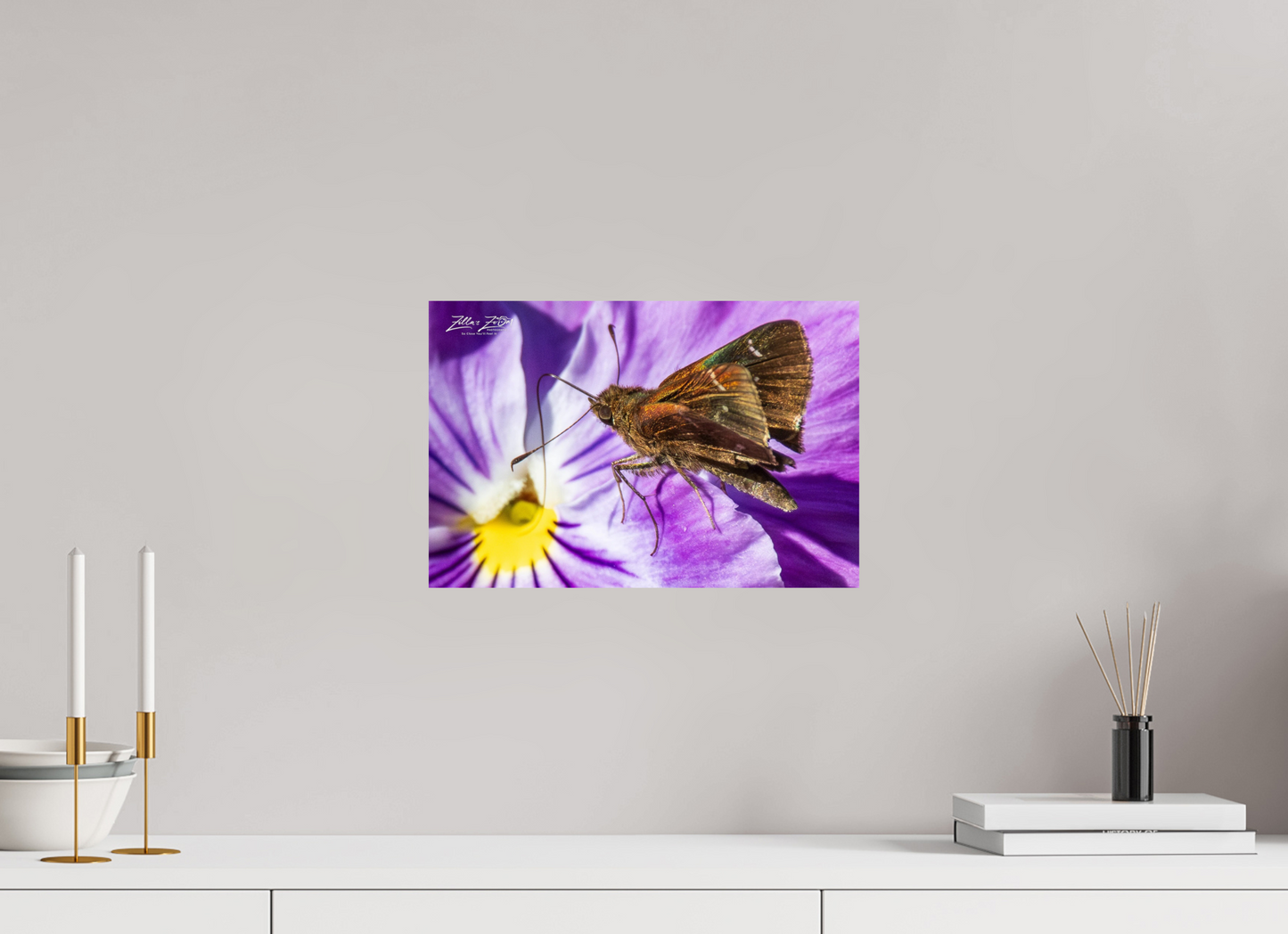 15 x 10″, Photo Print On Fuji Crystal DP II Zillas Zoom Image 59