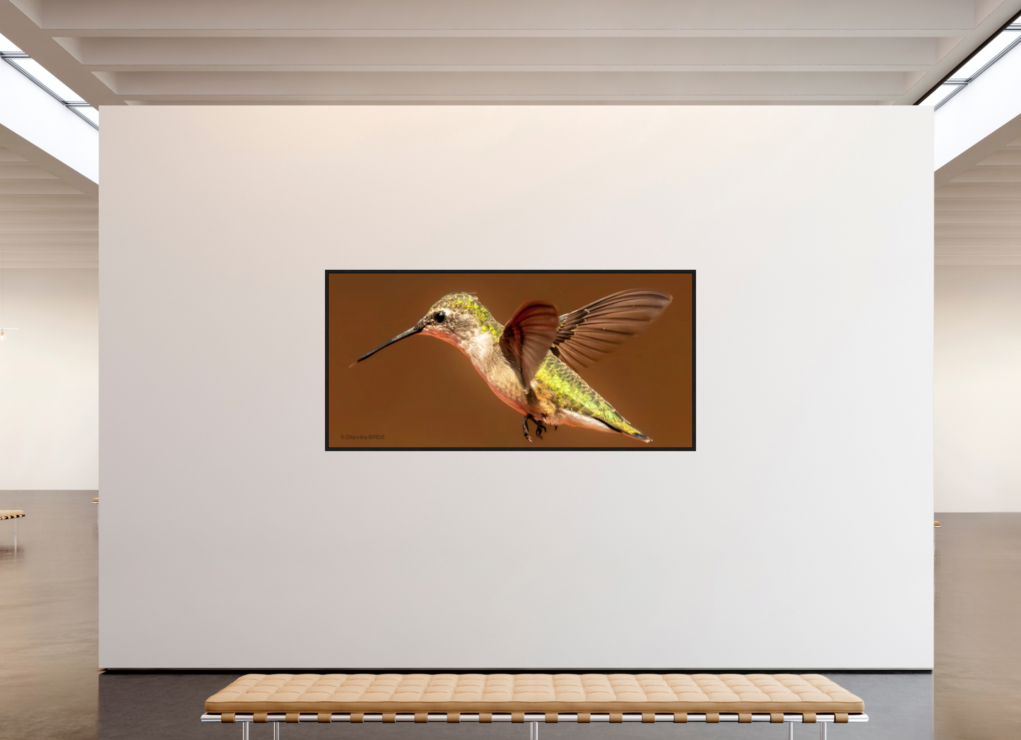 89.7 x 43″, Floater Frame Zillas Zoom Image 327