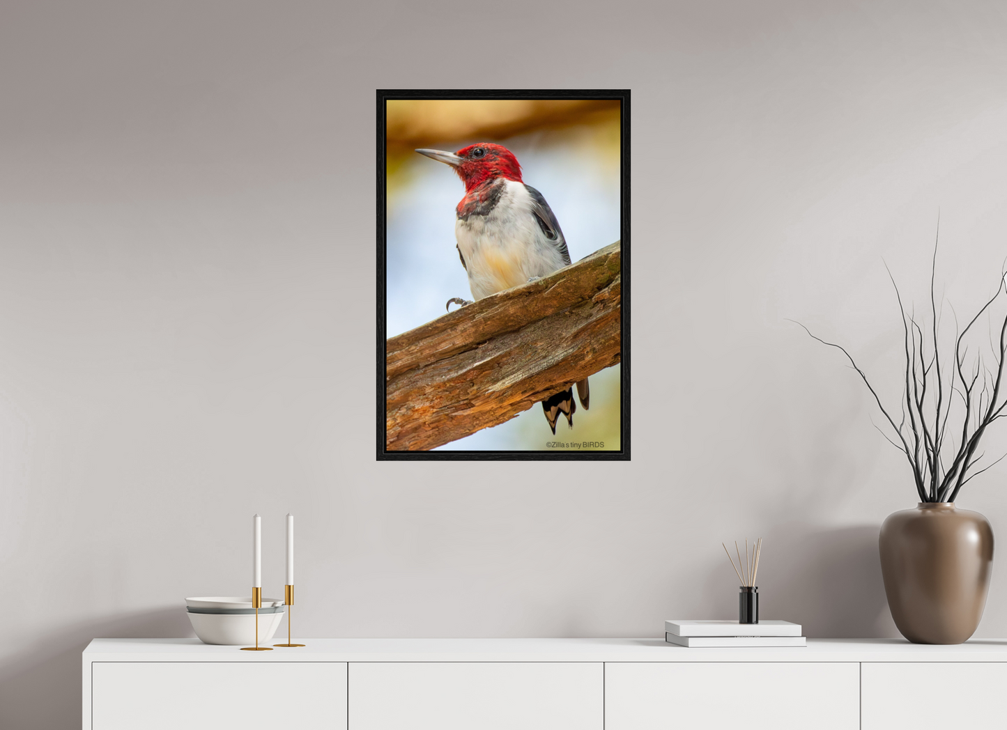 20 x 30″, Floater Frame Zillas Zoom Image 442