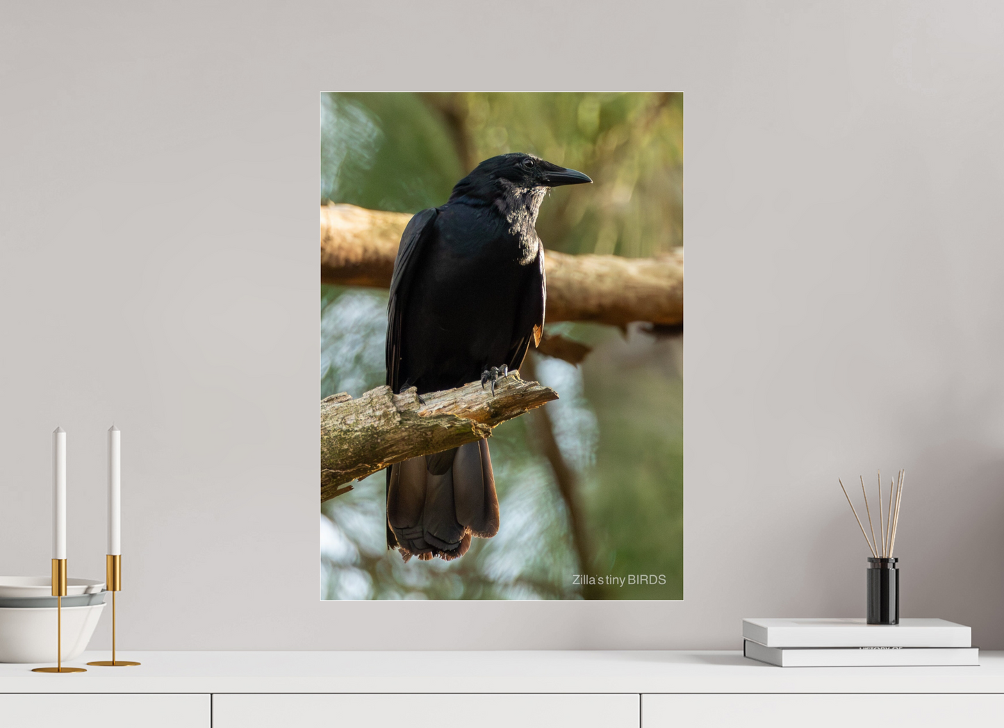 16 x 22.4″, Photo Print Under Acrylic Glass Zillas Zoom Image 523