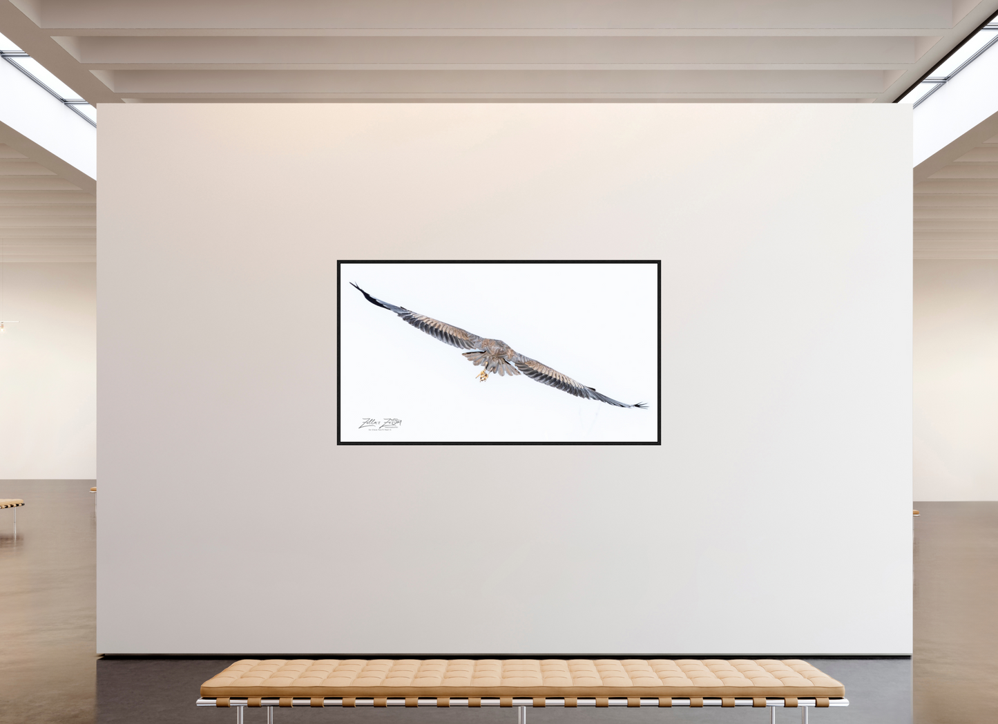 80 x 45″, Floater Frame Zillas Zoom Image 275