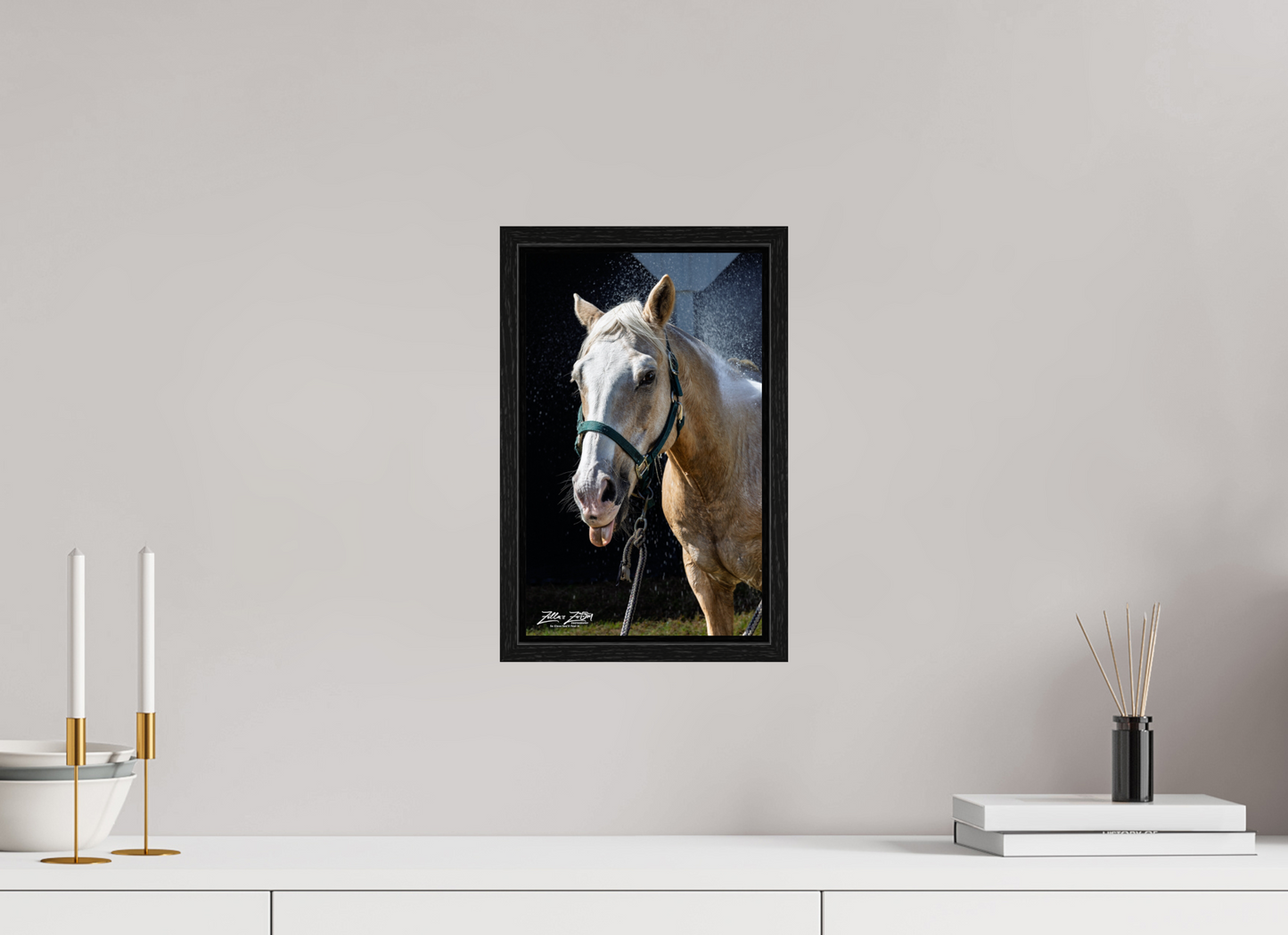 8 x 13″, Floater Frame Zillas zoom image 156