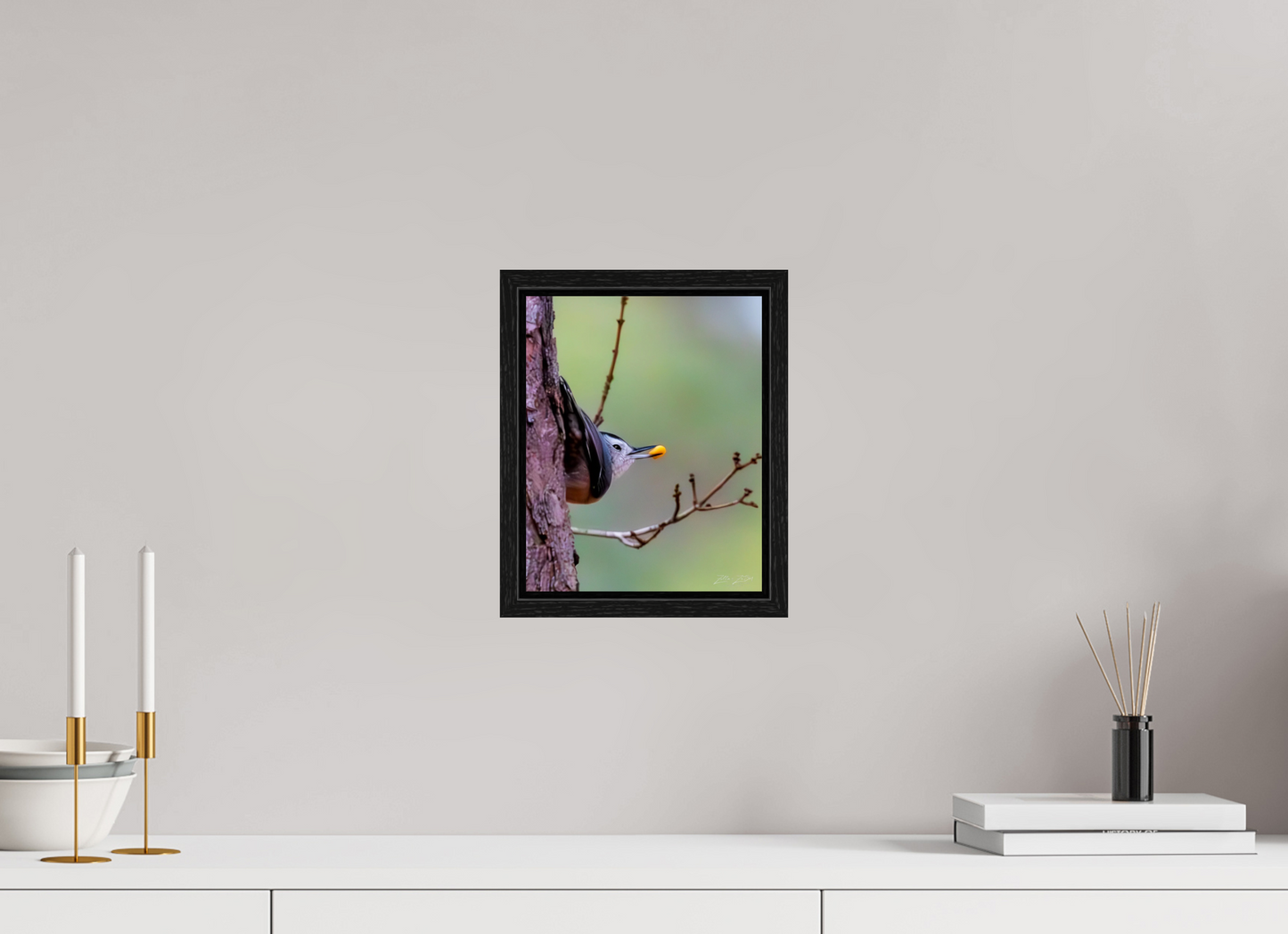 8 x 10″, Floater Frame Zillas Zoom Image 503