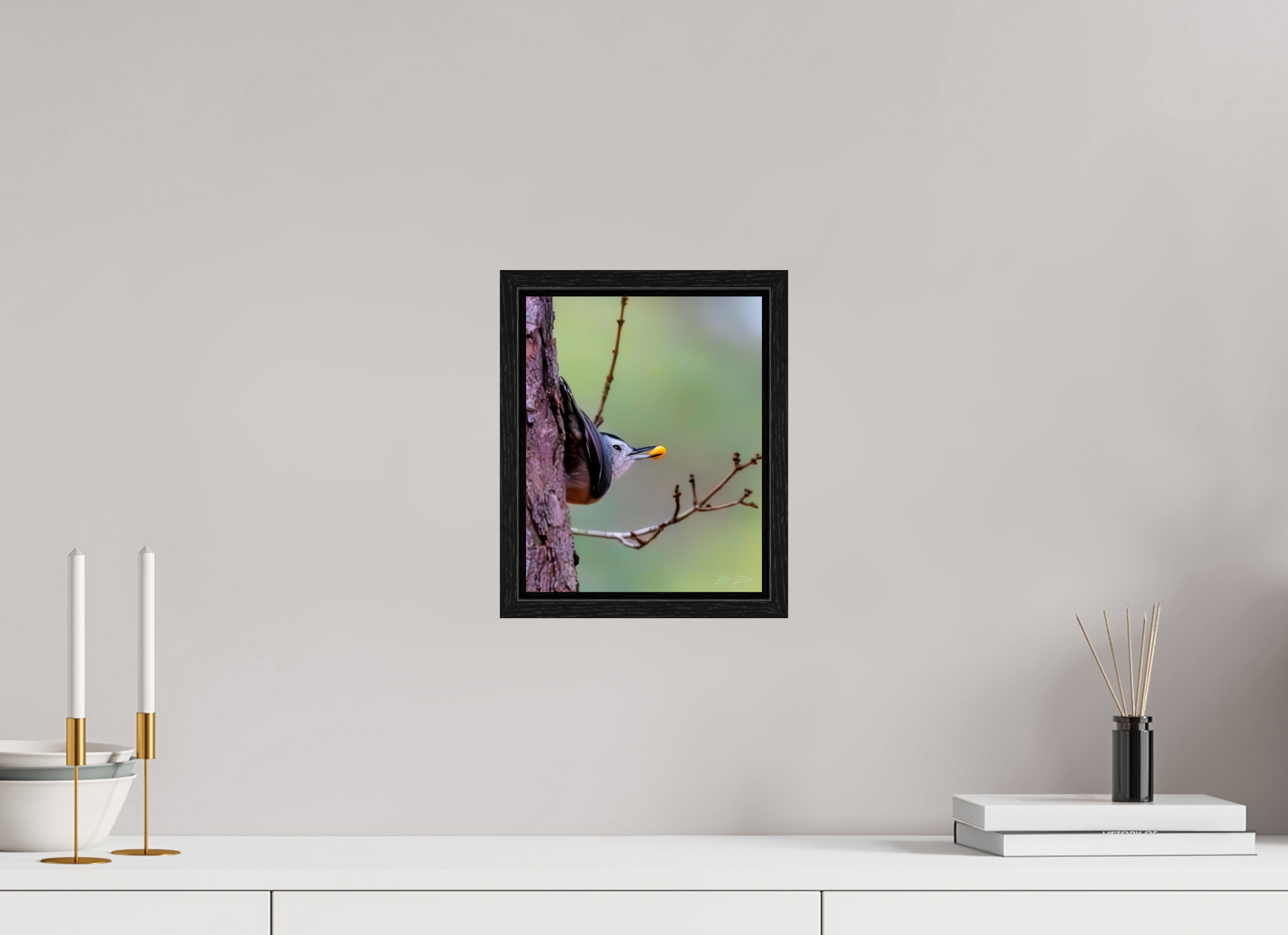 8 x 10″, Floater Frame Zillas Zoom Image 503