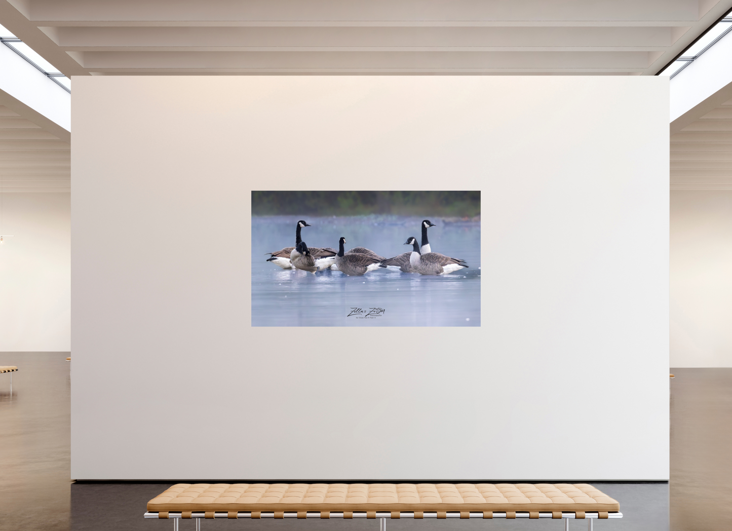79.3 x 47″, Photo Print On Fuji Crystal DP II Zillas Zoom Image 313