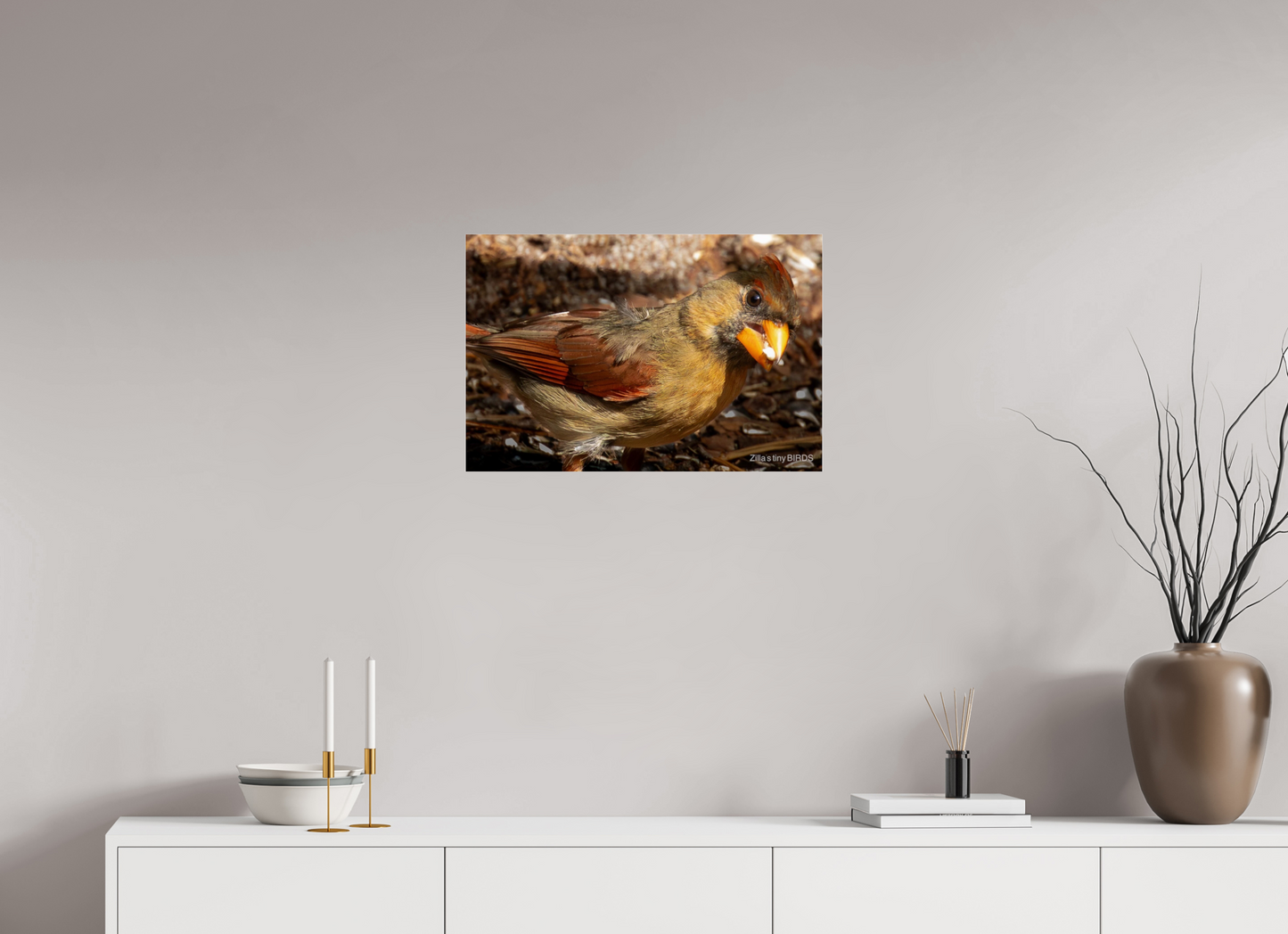 24 x 16″, Photo Print Under Acrylic Glass Zillas Zoom Image 392