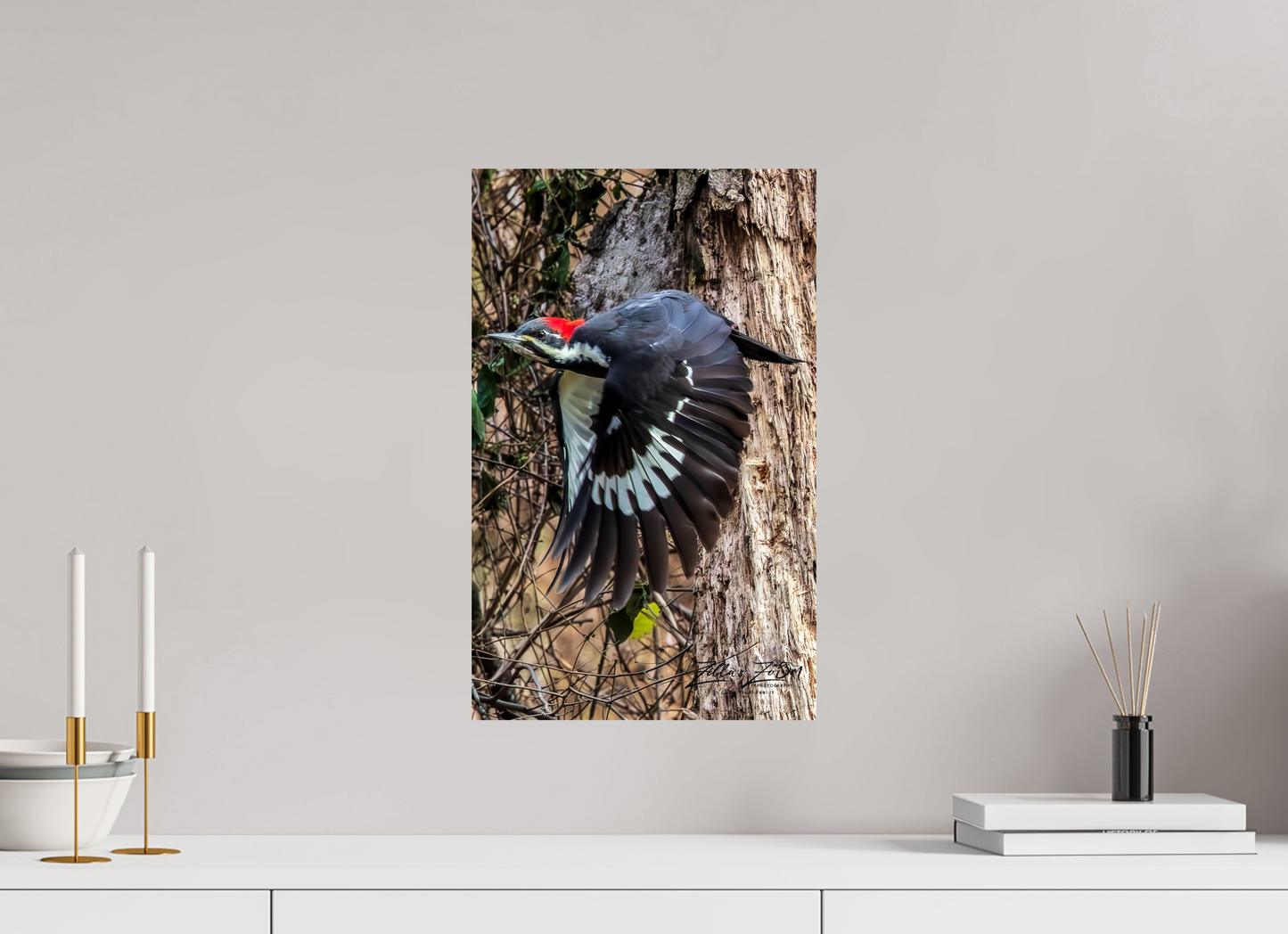 12 x 19.2″, Photo Print On Fuji Crystal DP II Zillas Zoom Image 419