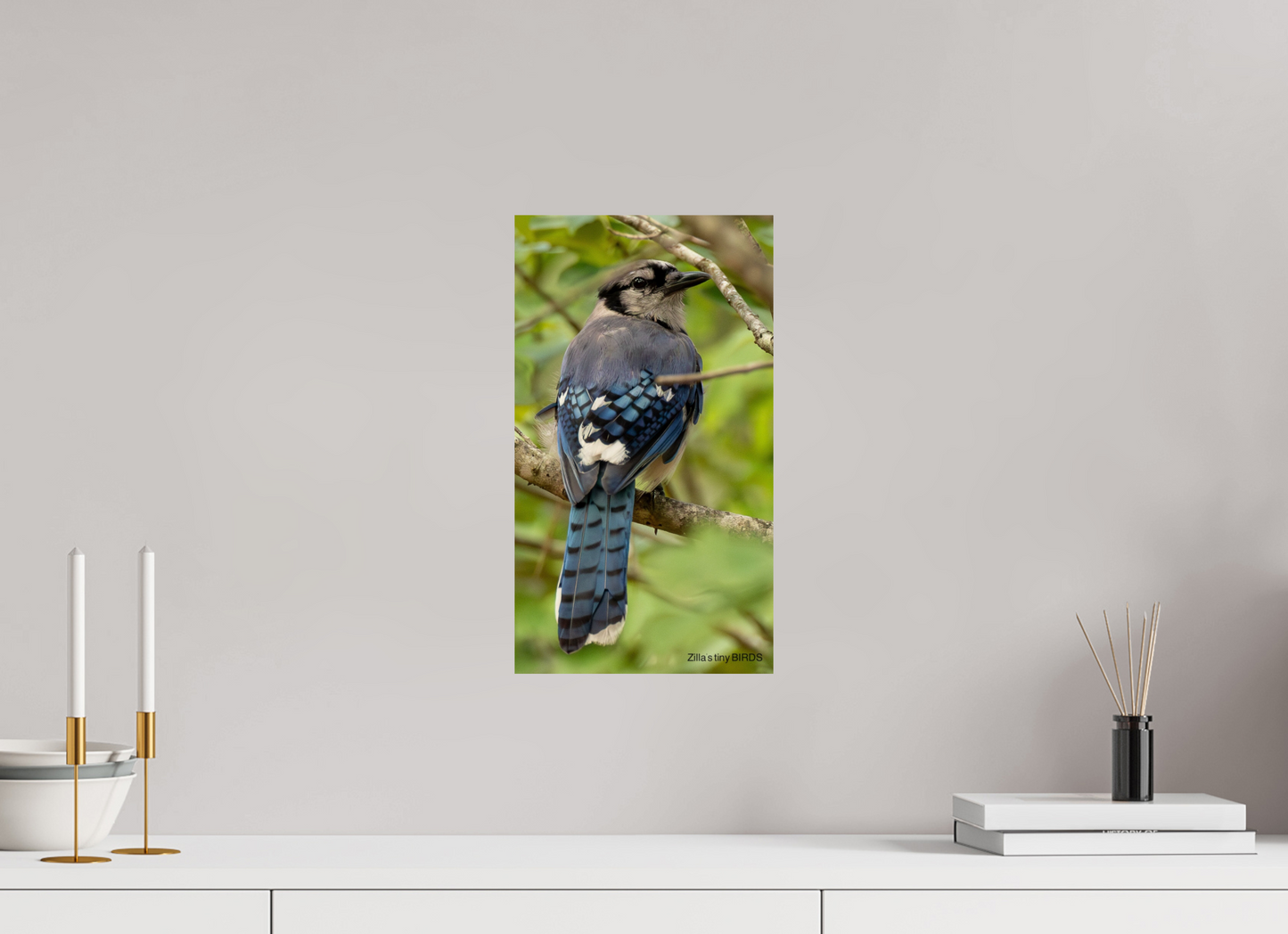 9 x 16″, Photo Print On Fuji Crystal DP II Zillas Zoom Image 485