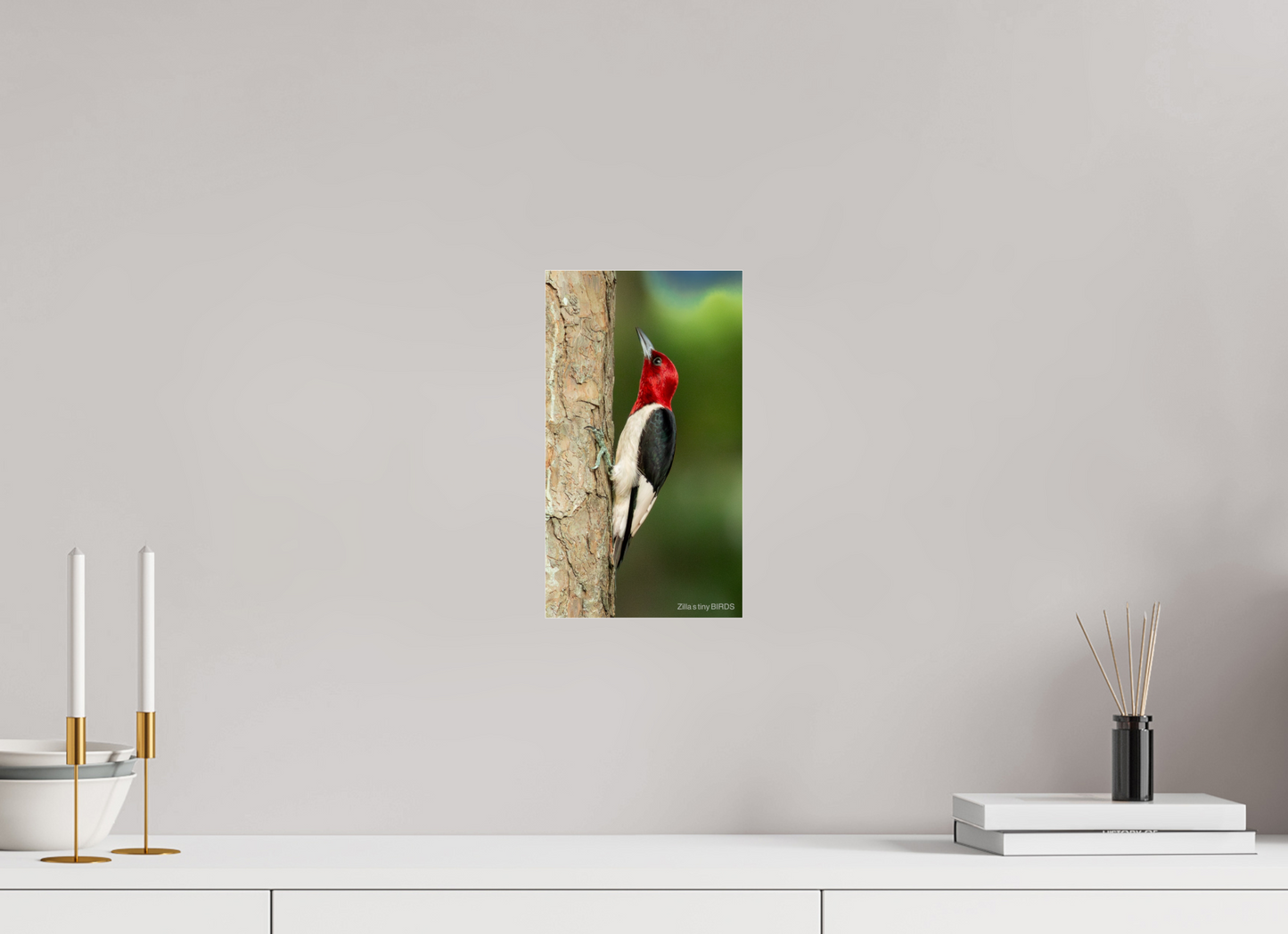 6.8 x 12″, Photo Print Under Acrylic Glass Zillas Zoom Image 492