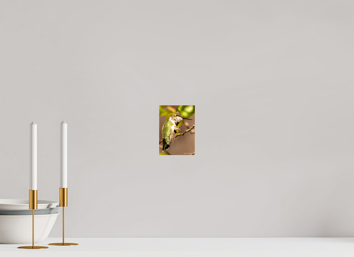 4 x 5.6″, Photo Print Under Acrylic Glass Zillas Zoom Image 471