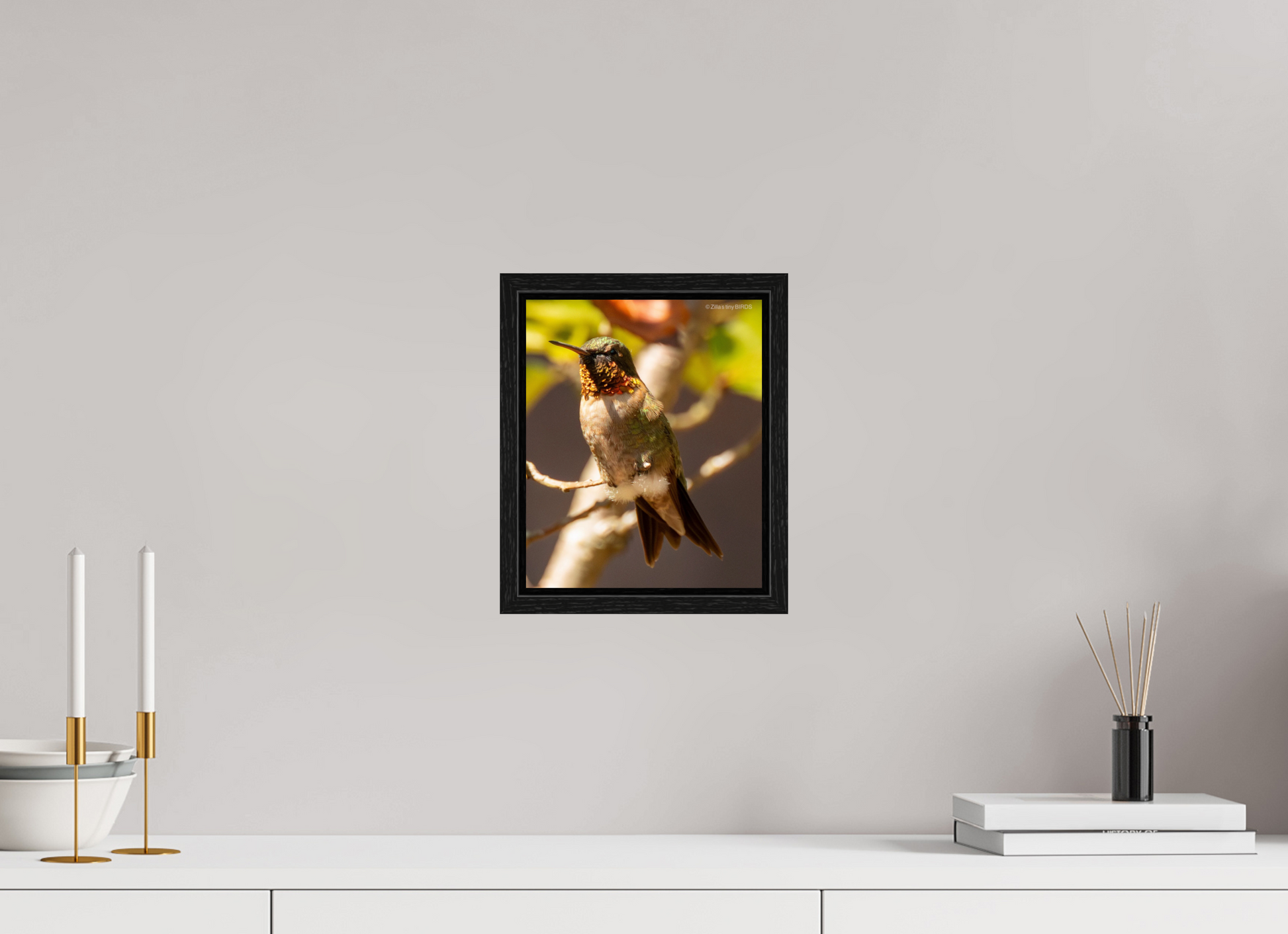 8 x 9.8″, Floater Frame Zillas Zoom Image 454