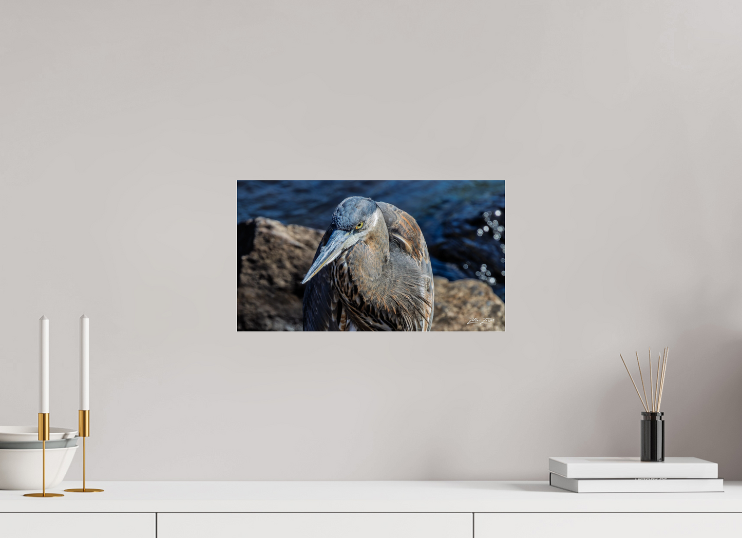 16 x 9″, Photo Print Under Acrylic Glass Zillas Zoom Image 335