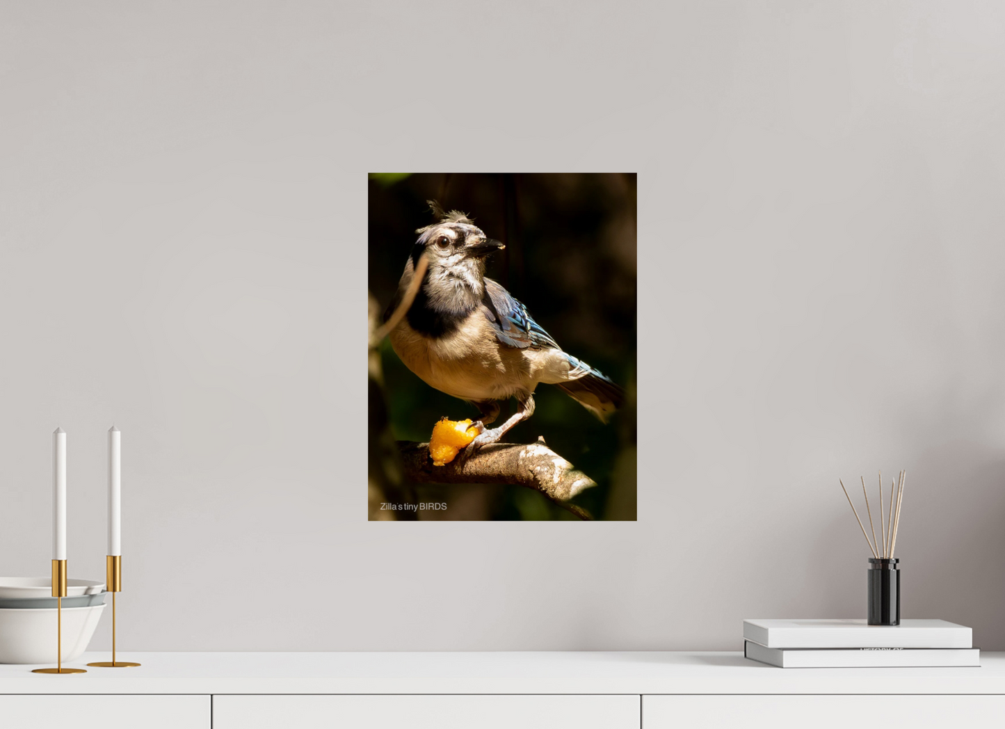 12 x 15.6″, Photo Print On Fuji Crystal DP II Zillas Zoom Image 480