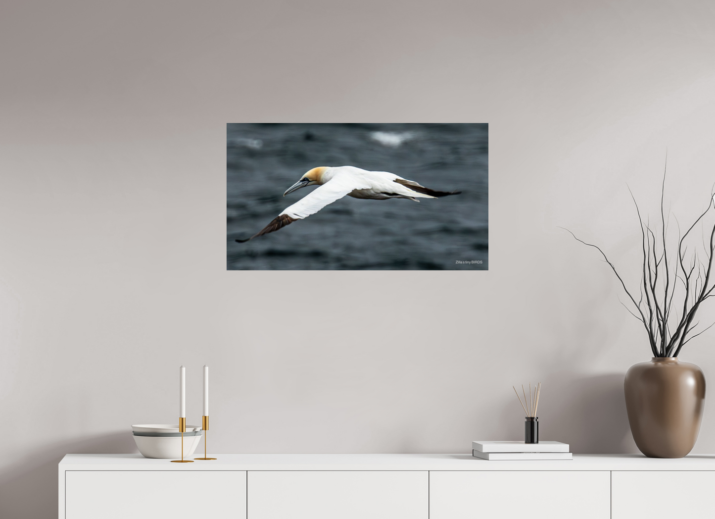32 x 18″, Photo Print On Fuji Crystal DP II Zillas Zoom Image 324