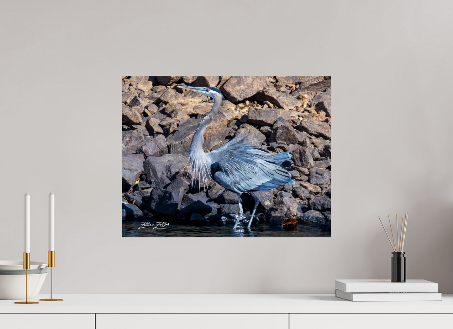 20.7 x 16″, Photo Print On Fuji Crystal DP II Zillas Zoom Image 293