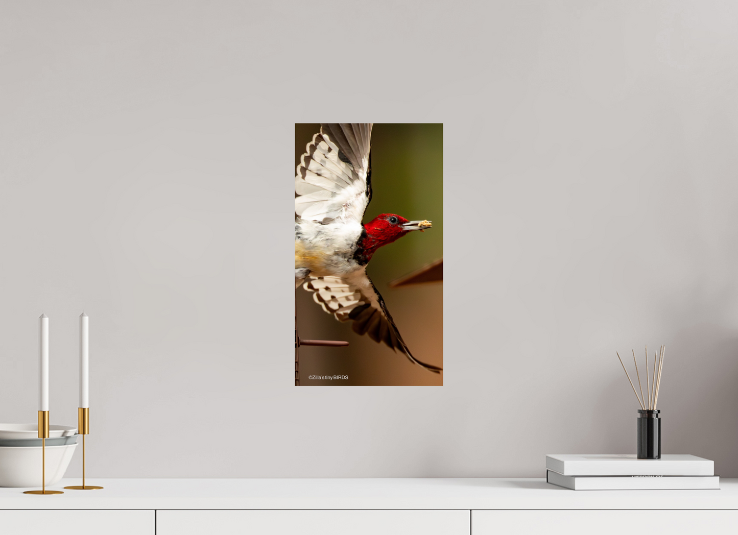 9 x 16″, Photo Print On Fuji Crystal DP II Zillas Zoom Image 399