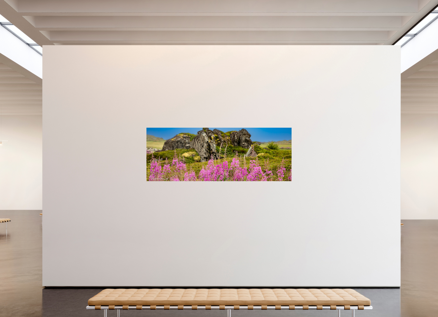 83.9 x 31″, Photo Print On Fuji Crystal DP II Zillas Zoom Image 94