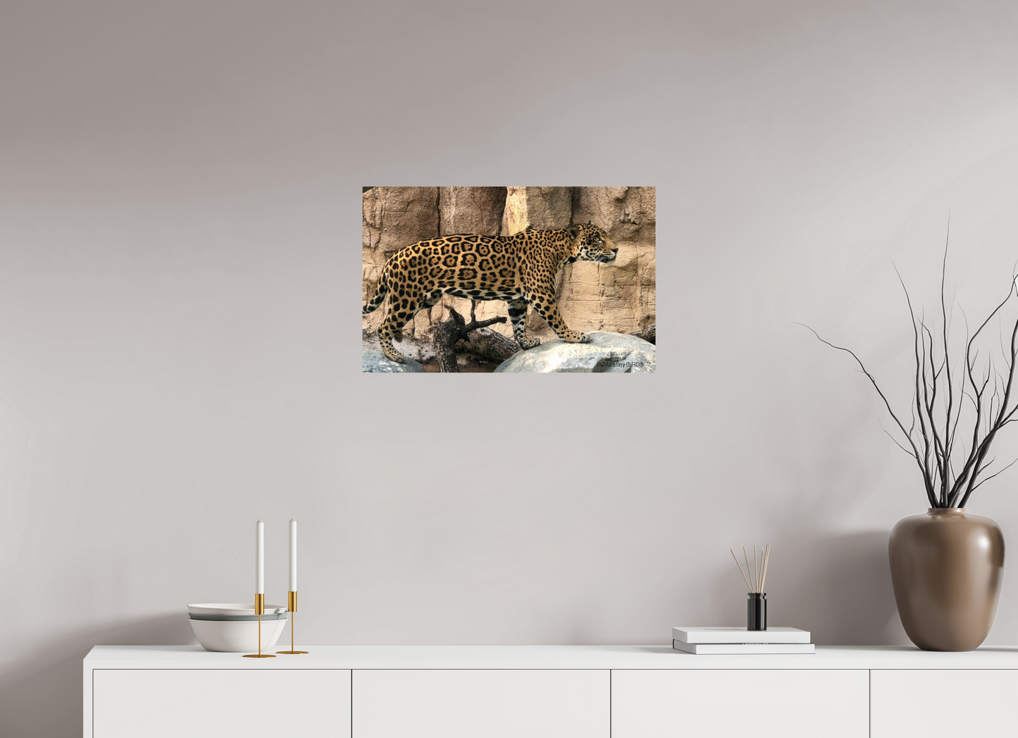 25.2 x 16″, Photo Print On Fuji Crystal DP II Zillas zoom image 139