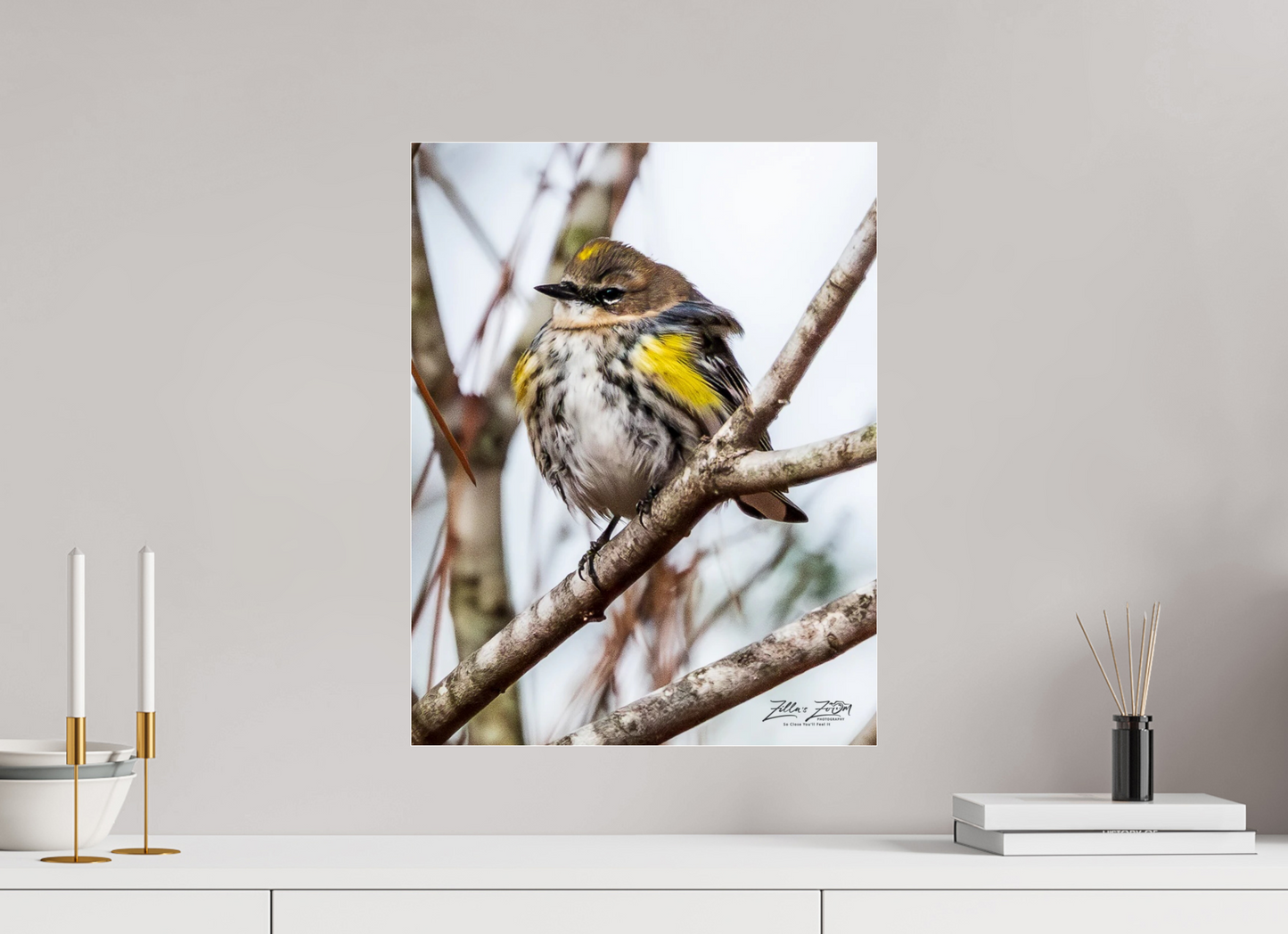 16 x 20.7″, Photo Print Under Acrylic Glass Zillas Zoom Image 501
