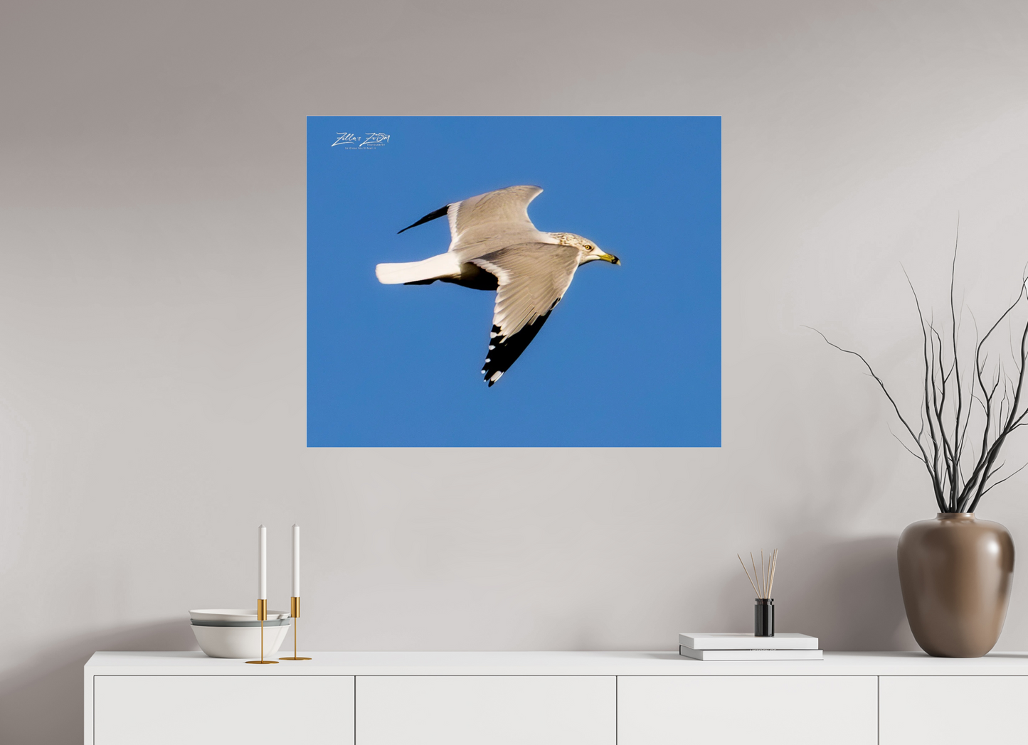 35 x 28″, Photo Print Under Acrylic Glass Zillas Zoom Image 266