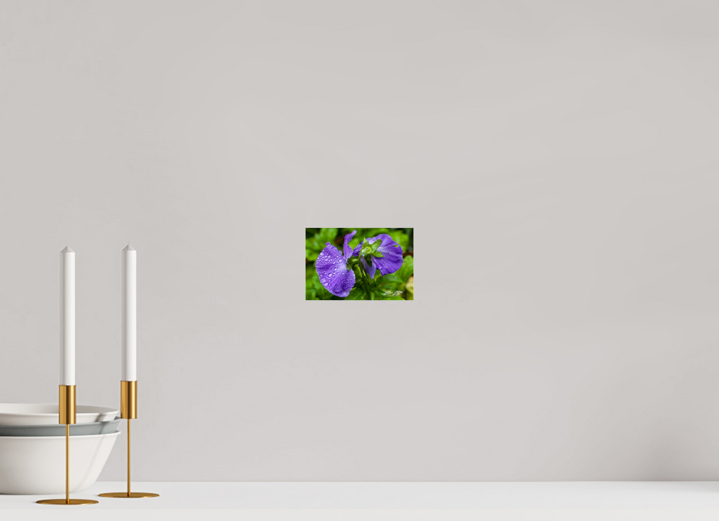 6 x 4″, Photo Print Under Acrylic Glass Zillas Zoom Image 93
