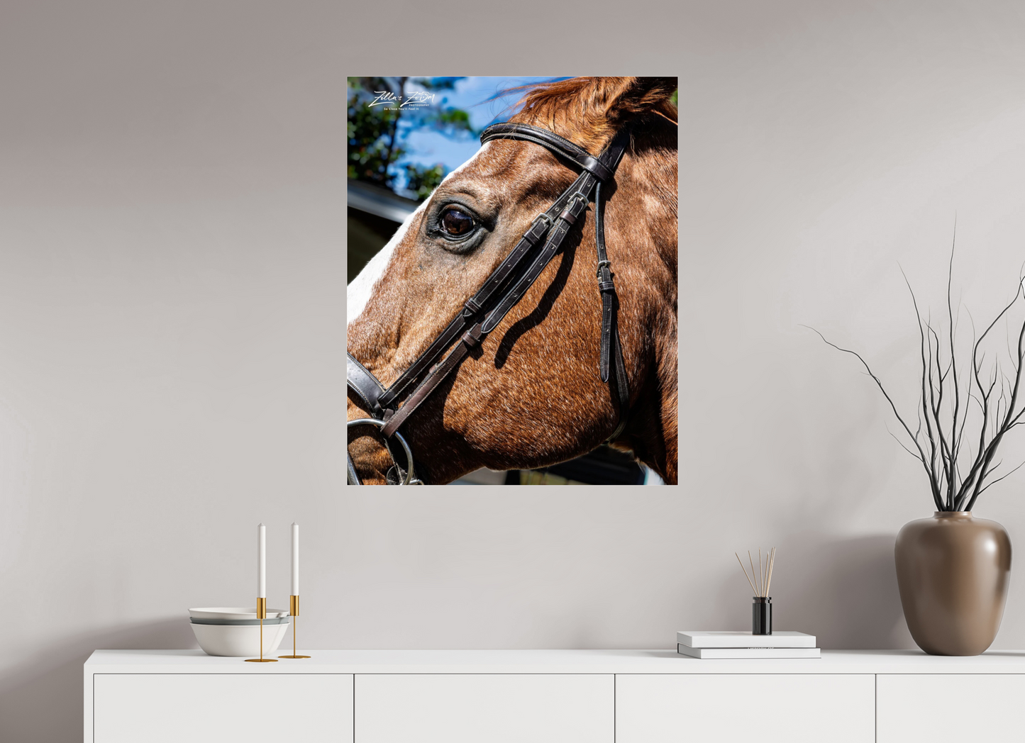 28 x 34.6″, Photo Print Under Acrylic Glass Zillas zoom image 149